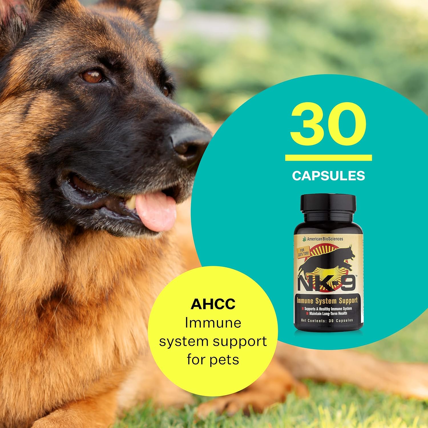 American BioSciences NK-9 AHCC Supplement for Dogs & Cats – Immune Support – 30 Capsules