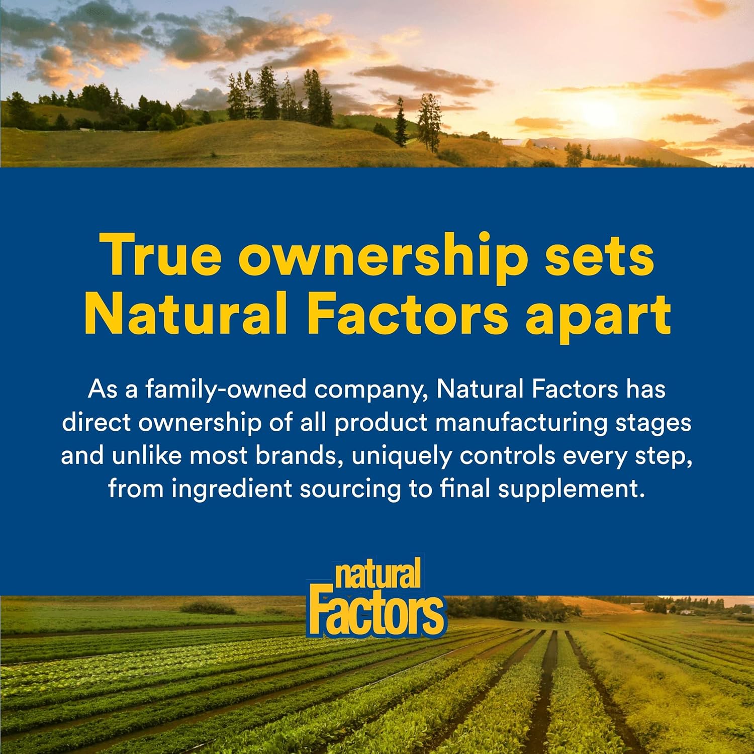 Natural Factors Vitamin D3 & K2 1000 IU / 120 mcg - 60 Softgels