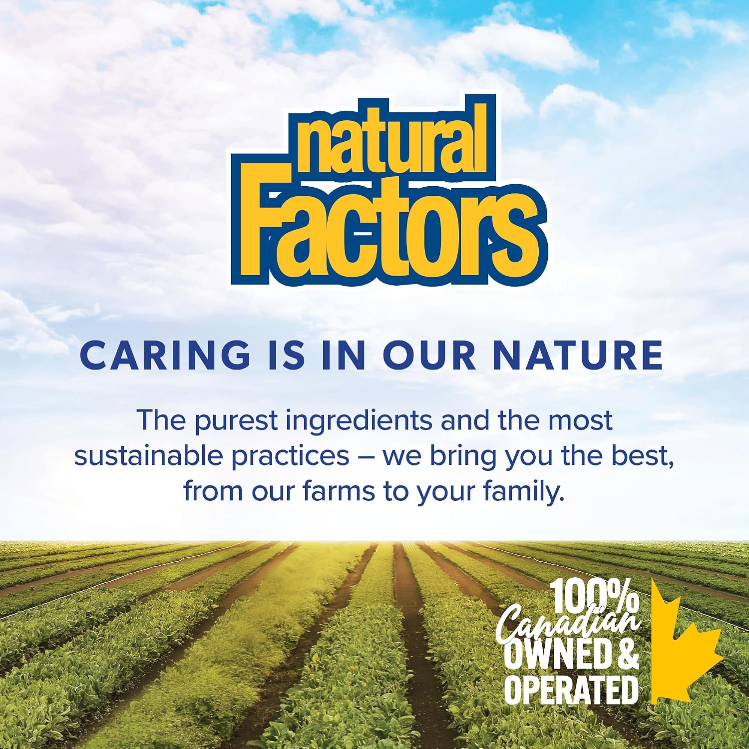 Natural Factors Vitamin A 10,000 IU - 180 Softgels