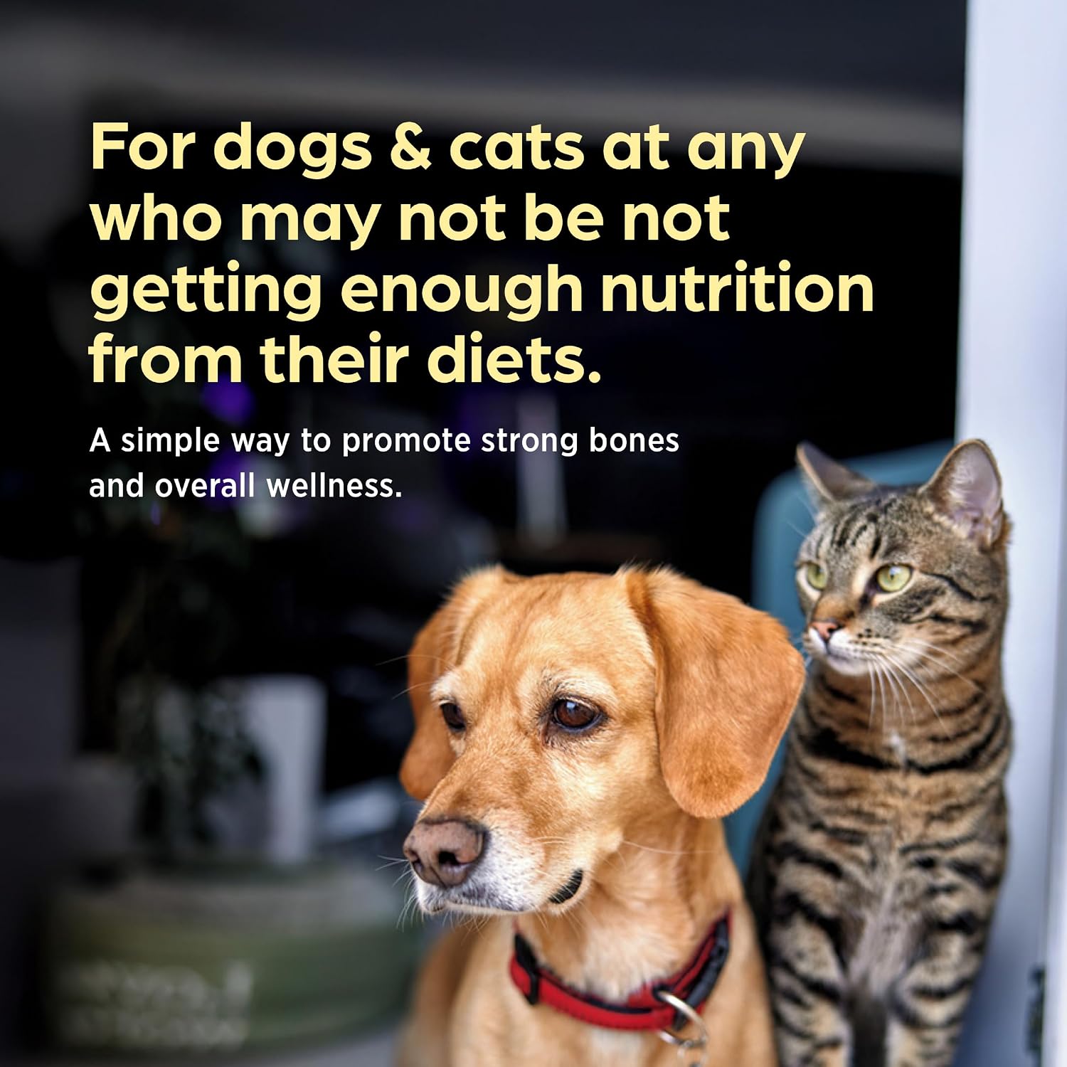 Pet-Cal Calcium, Phosphorus, and Vitamin D Supplement for Dogs & Cats - 60 Chewable Tablets