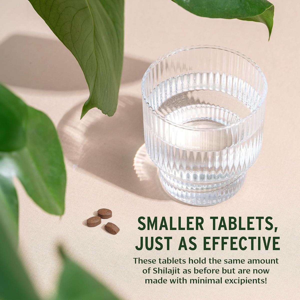 Banyan Botanicals Shilajit – 90 Pure Pressed Tablets for Energy & Vitality - görsel 6