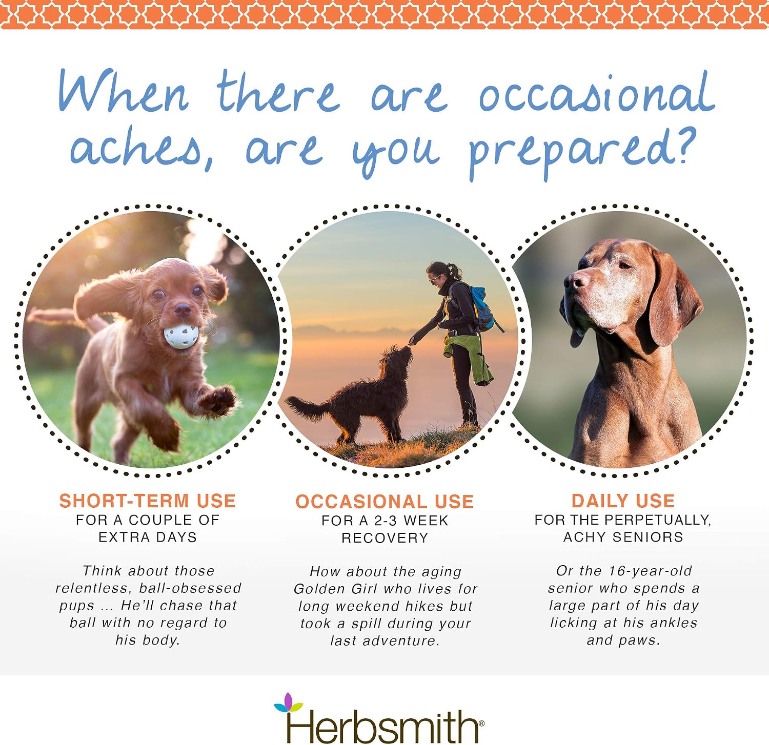 Herbsmith Comfort Aches – Herbal Pain Relief for Dogs & Cats – Anti-Inflammatory Supplement – 75 g Powder