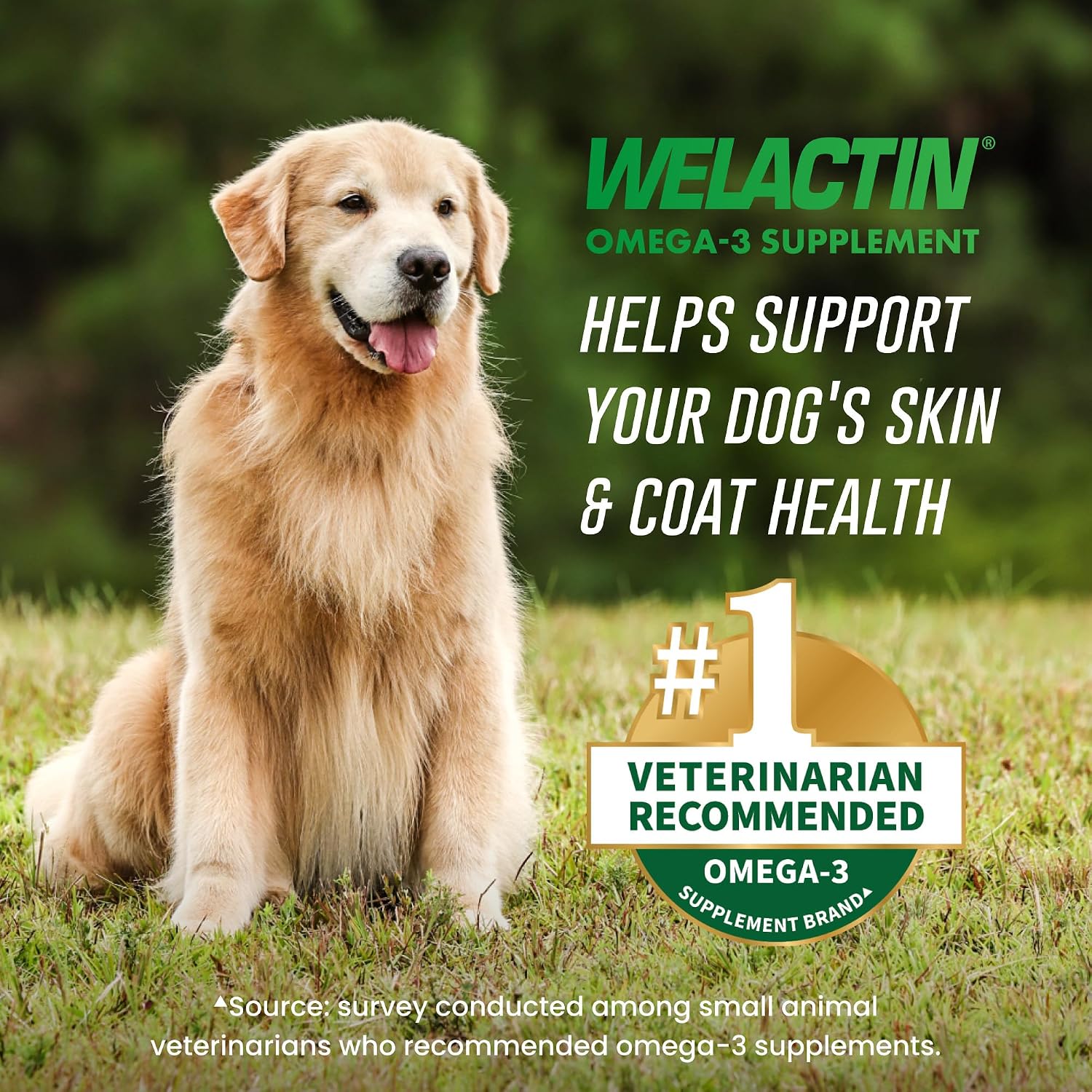 Nutramax Welactin Canine Softgels - Omega-3 Supplement for Dogs (120 Softgels)