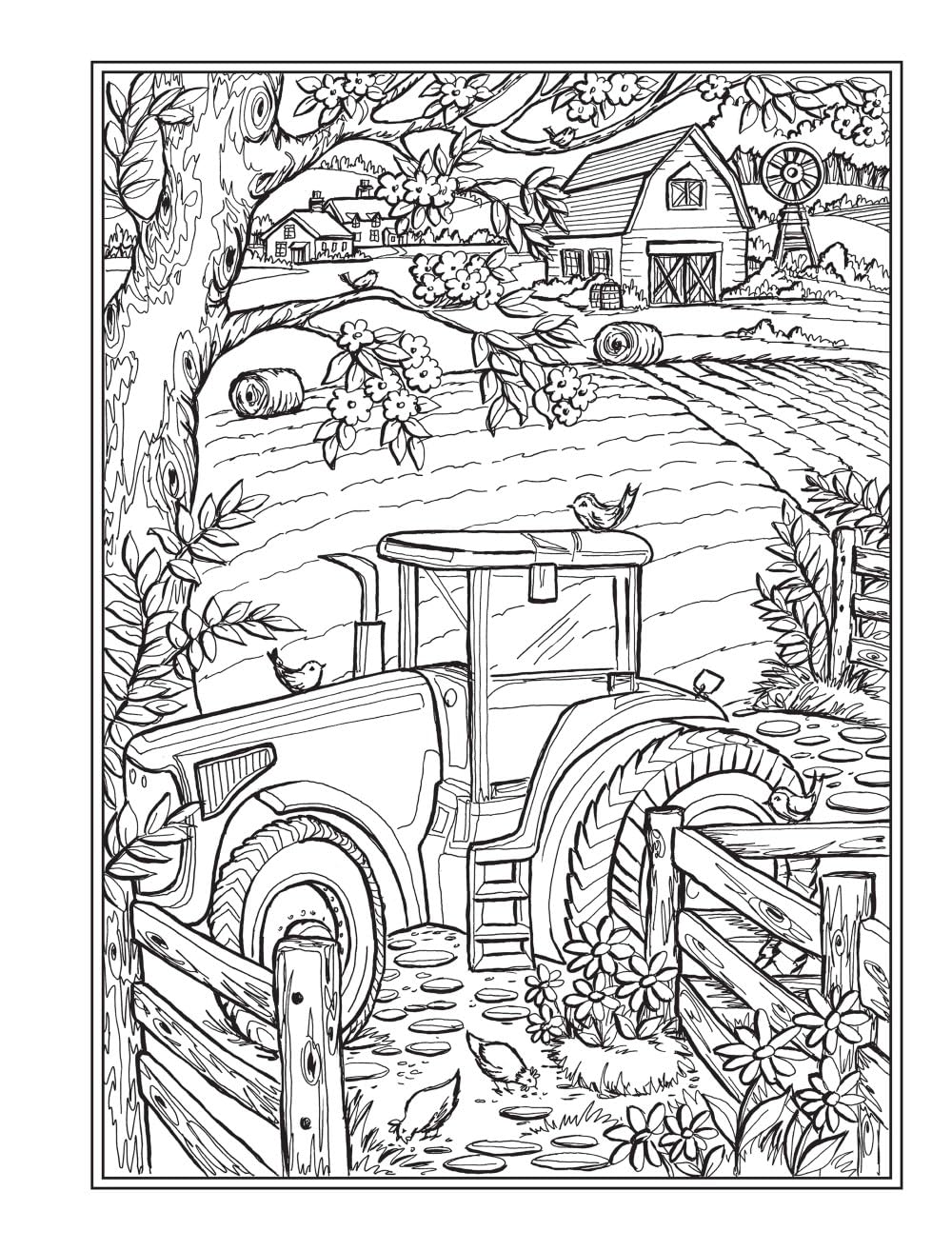 Creative Haven Country Farm Scenes Colouring Book: Relax & Find Your True Colours (Adult Colouring Books: In The Country)