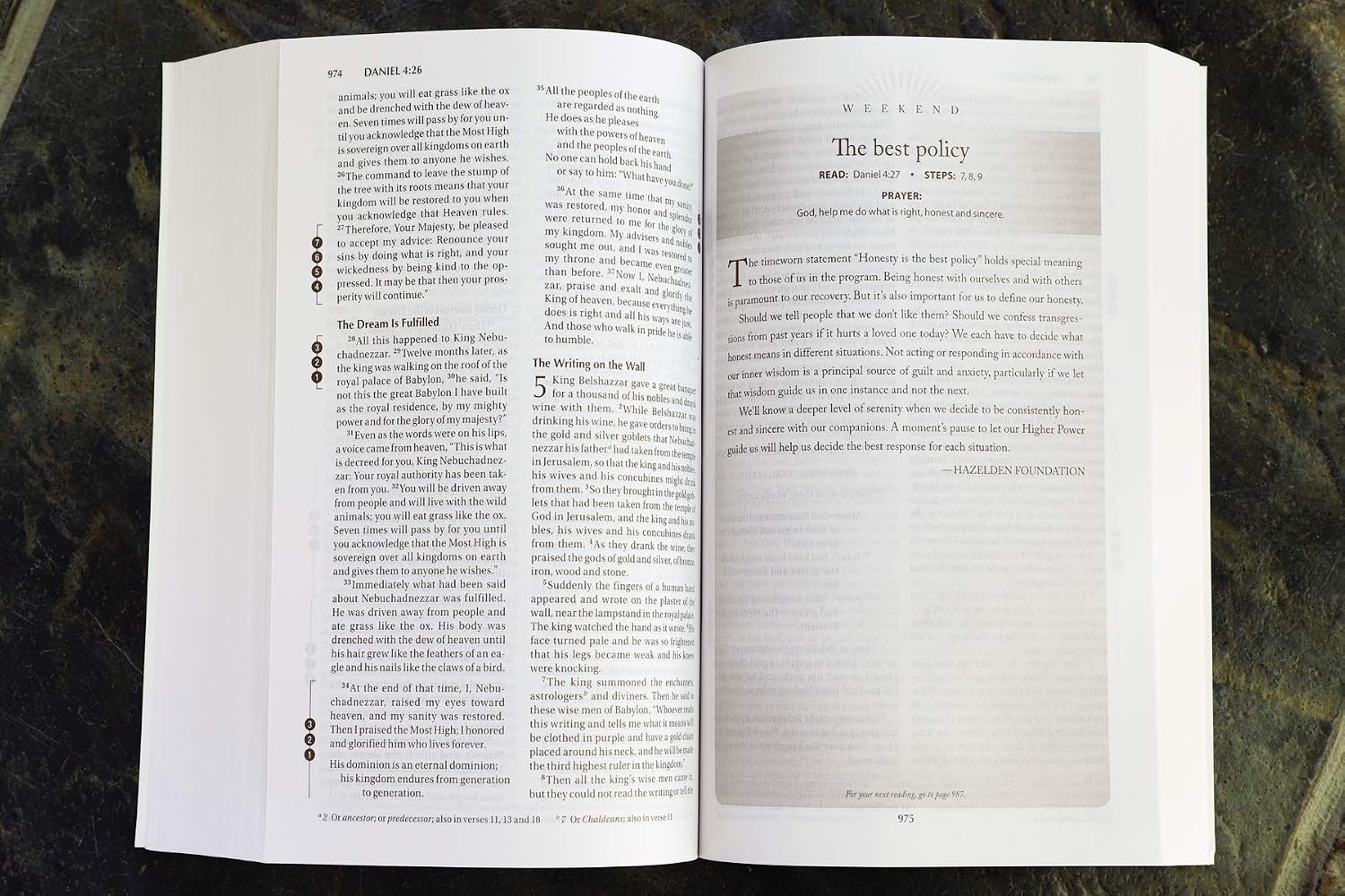 NIV Recovery Devotional Bible, Paperback