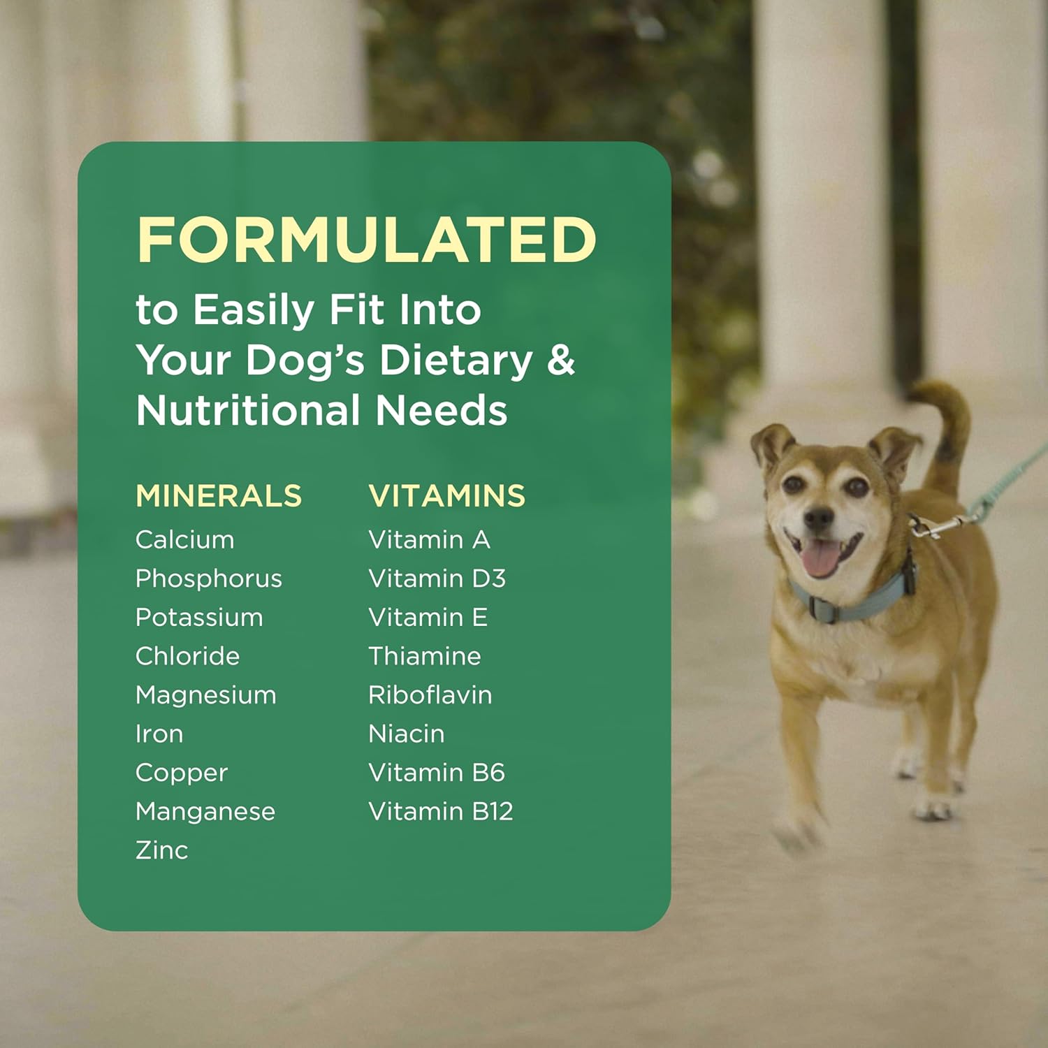 Pet-Tabs Multivitamin and Mineral Supplement for Dogs - Chewable Tablets, 500 Count