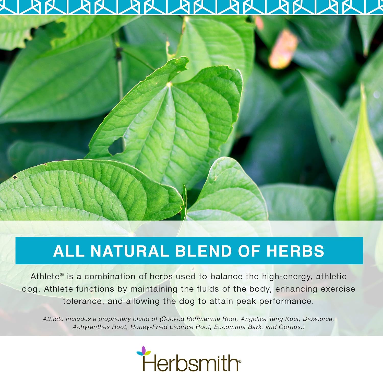Herbsmith Athlete – Canine Endurance Supplement for Working and Agility Dogs (75 g Powder)
