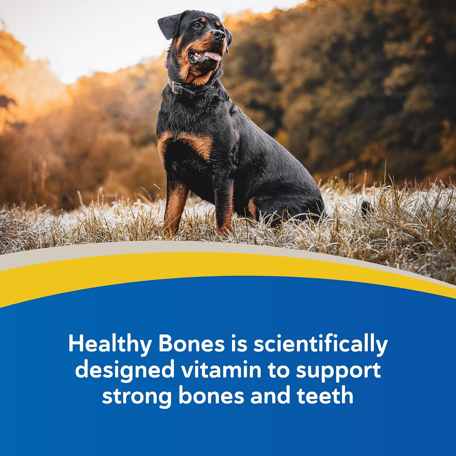 Doc Roy's Healthy Bones Calcium Phosphorus Supplement - Roast Beef & Liver Flavour, 100 Chewable Tablets
