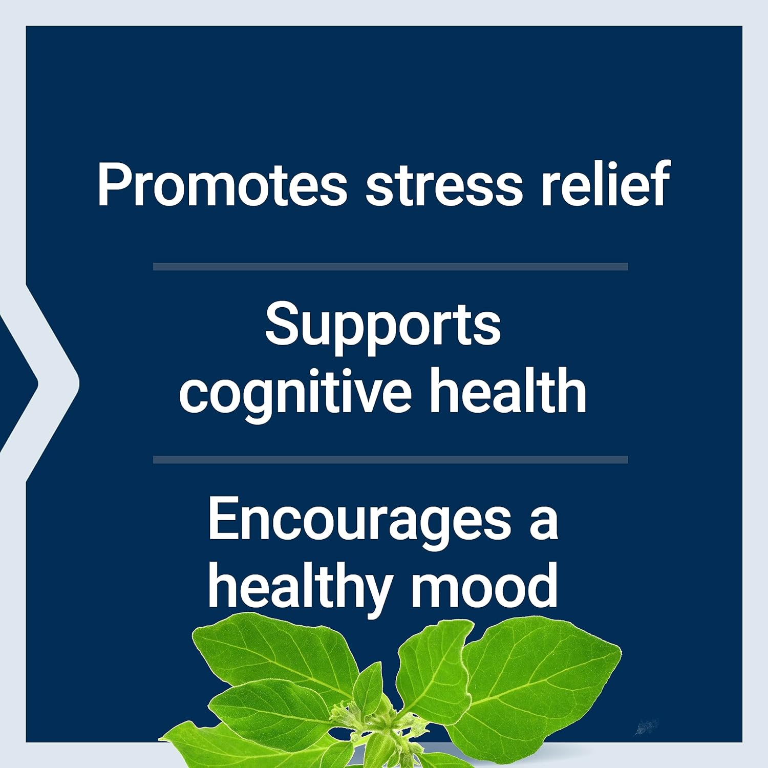 Life Extension Optimised Ashwagandha - Stress Management Supplement
