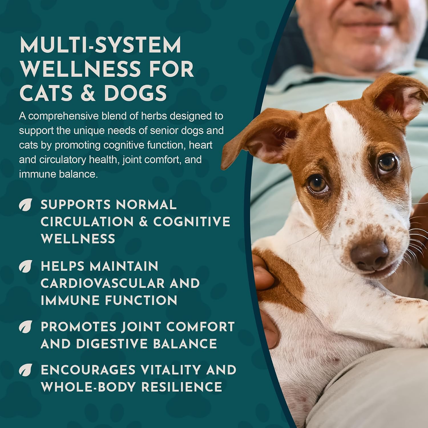 Animal Essentials Senior Support for Dogs & Cats Supplement - Milk Thistle & Herbal Blend, 30 ml