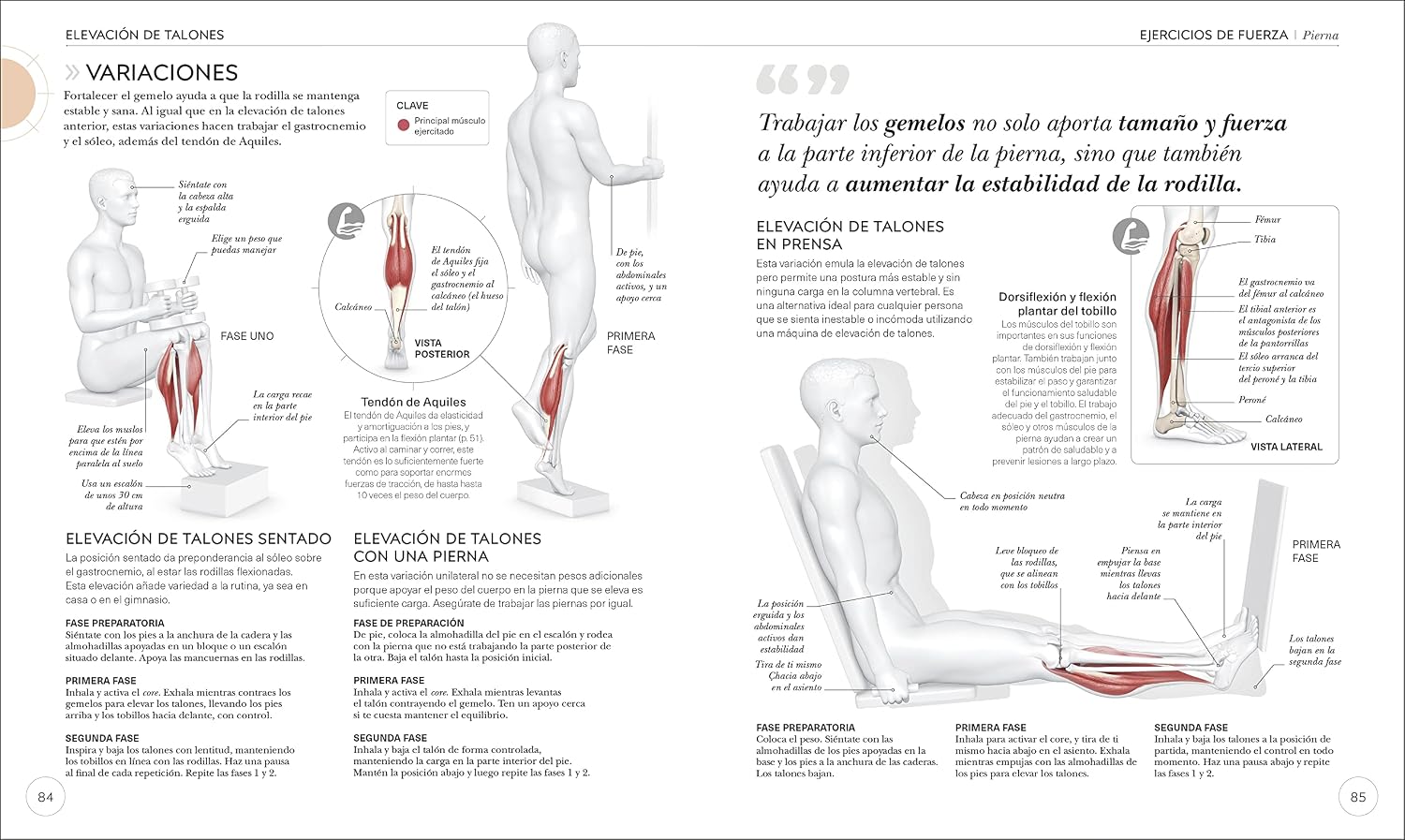 Science of Strength Training: Improve Your Technique, Prevent Injury, Perfect Your Training