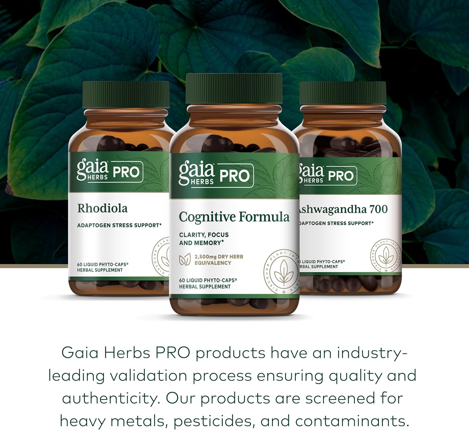 GAIA HERBS PRO Cognitive Formula – Brain Health & Blood Flow Support with Fo-Ti Root, Ginkgo Leaf, & Gotu Kola Leaf – 60 Liquid Phyto-Caps (30 Servings)
