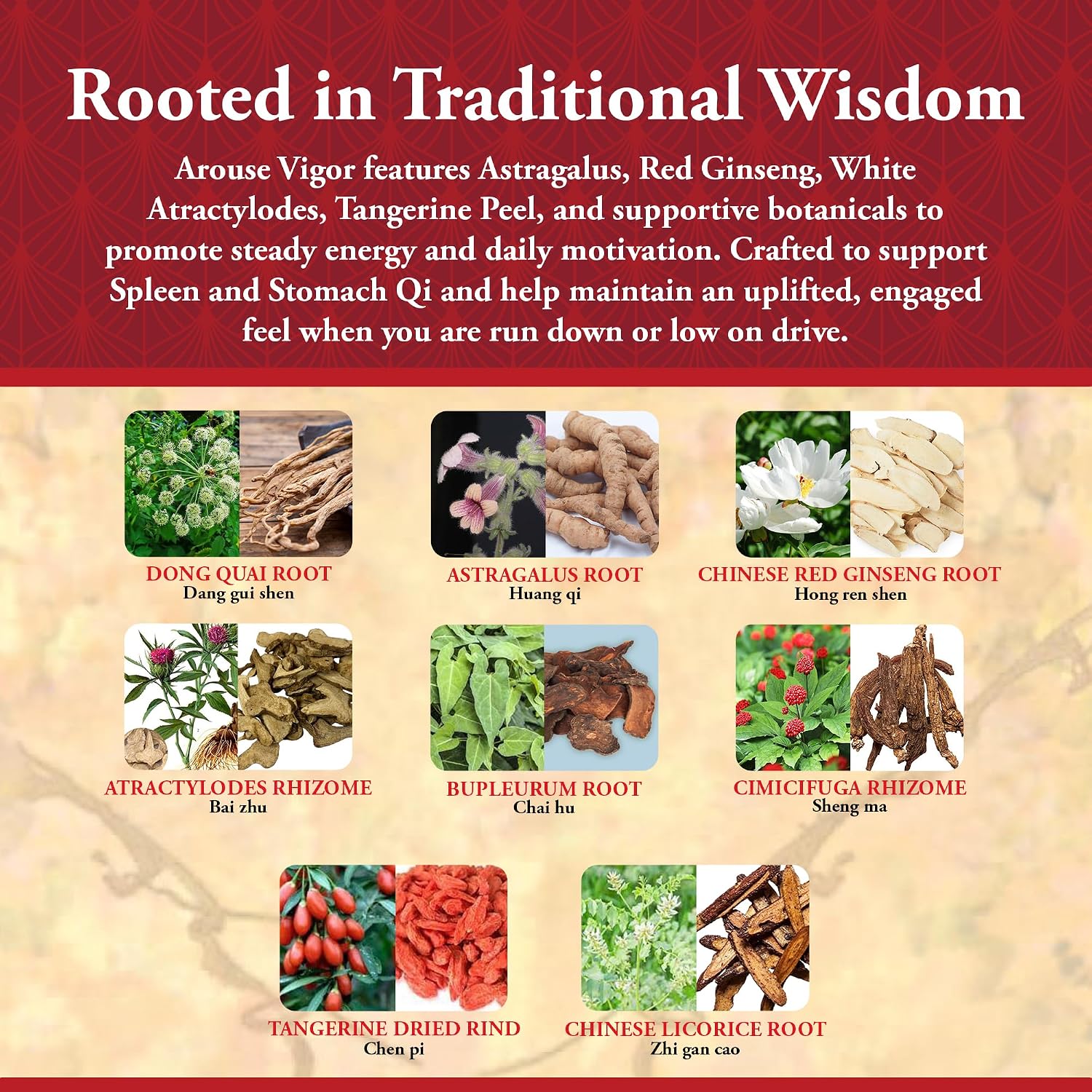 Kan Herb Company Arouse Vigour – Traditional Herbal Formula with Astragalus, Ginseng, Atractylodes (120 Tablets)