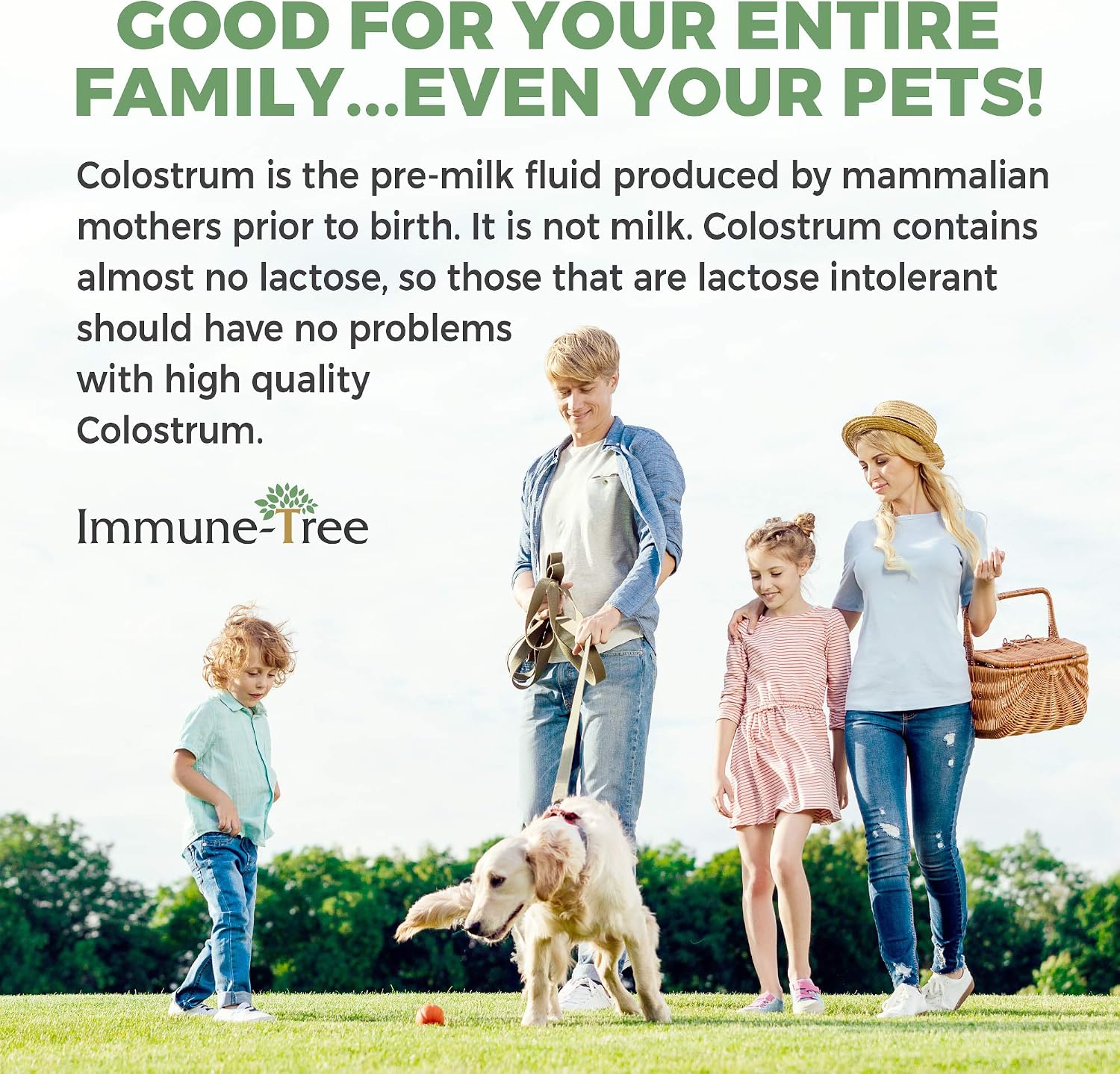 Immune-Tree 100% Bovine Colostrum Powder, 120 Servings, 184 g