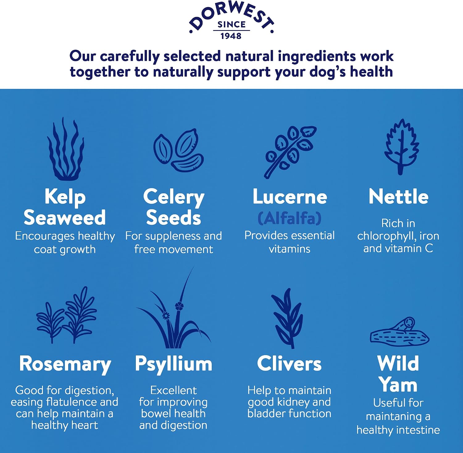 Dorwest Keeper's Mix Herbal Supplement for Dogs & Cats