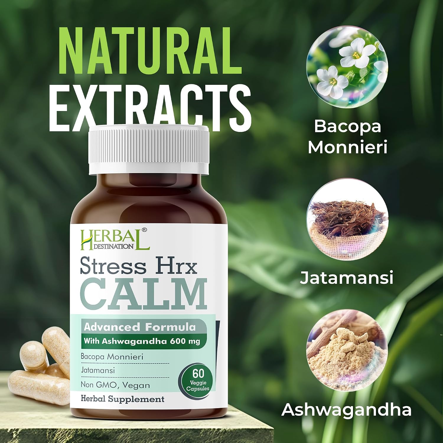 Stress Hrx, Ashwagandha Supplement Capsules, Herbal Destination Stress Support - 60 Count