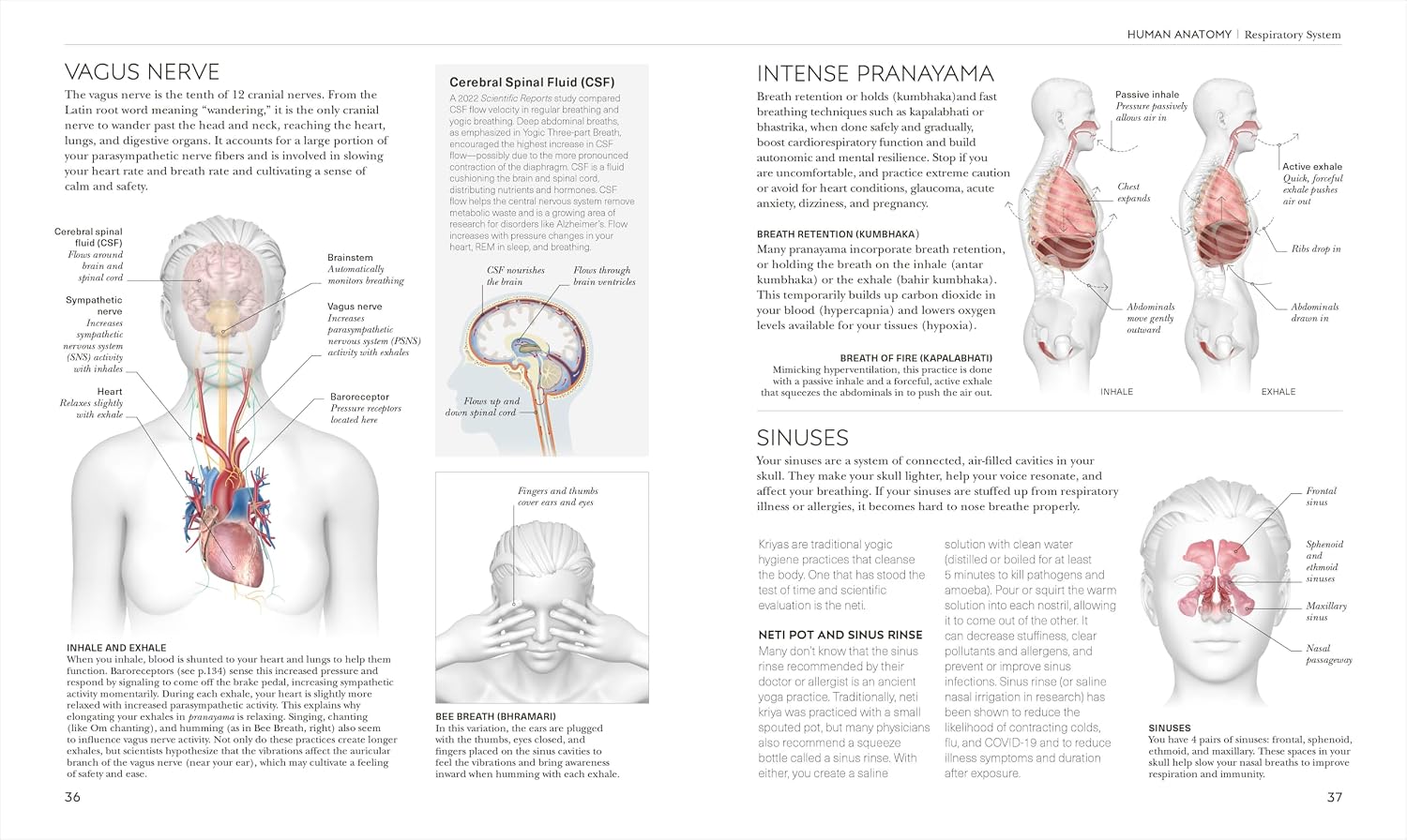 Science of Yoga: Understand the Anatomy and Physiology to Perfect Your Practice