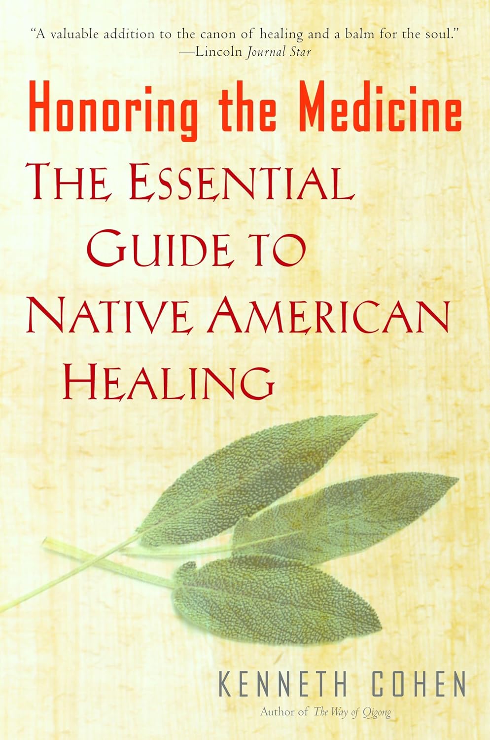 Honouring the Medicine: The Essential Guide to Native American Healing