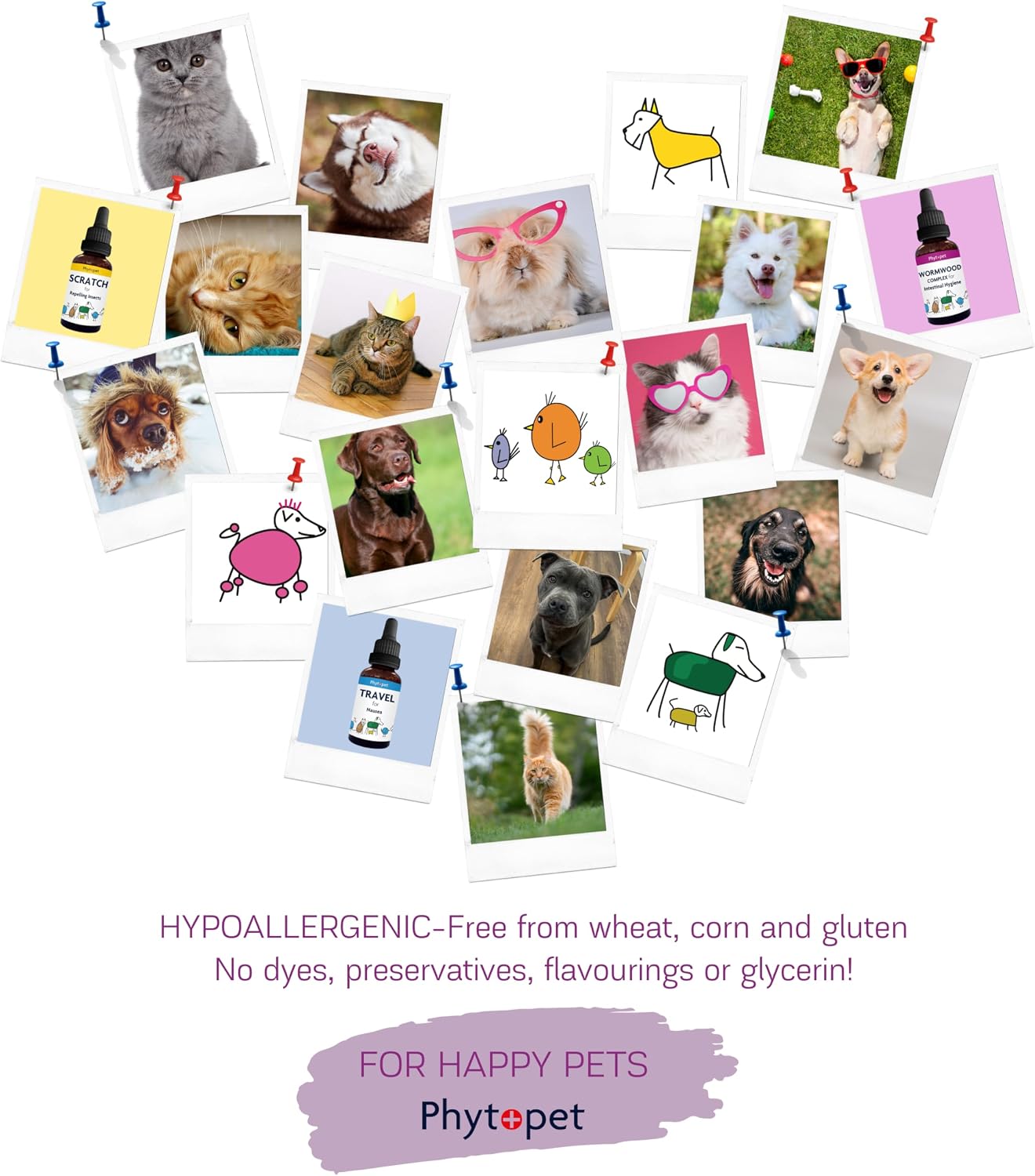 Phytopet Immune Plus – Natural Herbal Immune Support for Pets (30 mL)