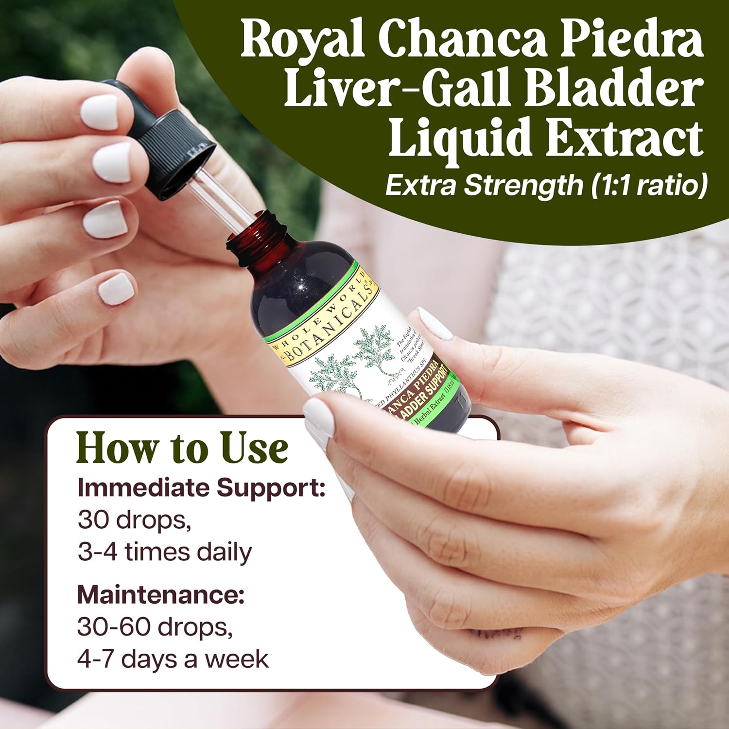 Whole World Botanicals Royal Chanca Piedra Liquid Extract – Liver & Gallbladder Support – 118 mL