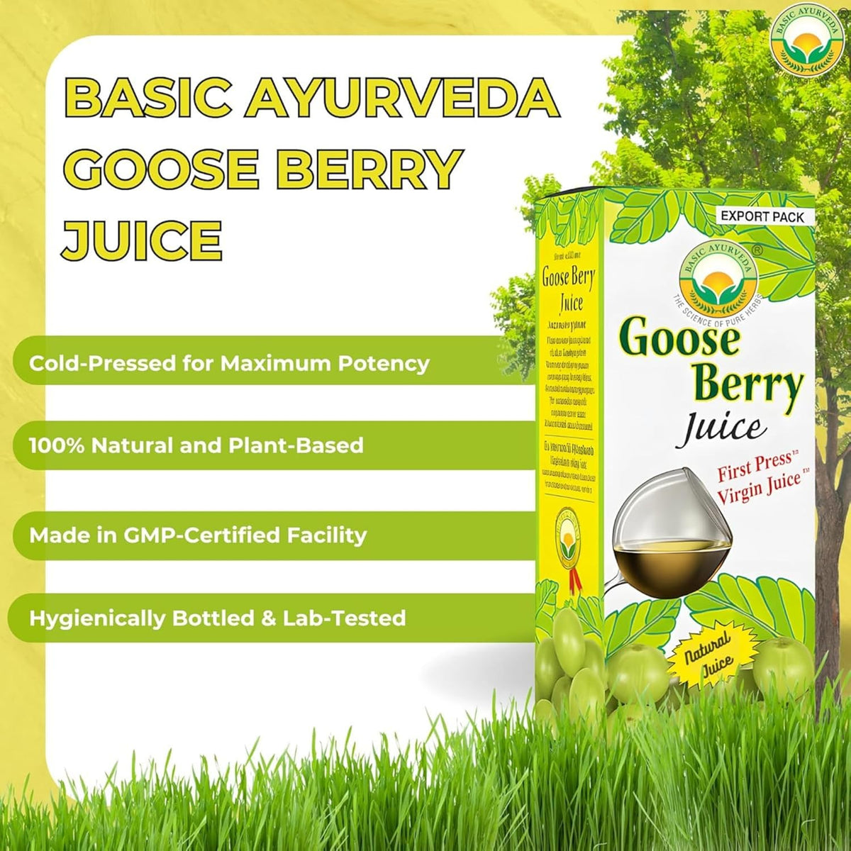 Basic Ayurveda Amla (Gooseberry) Juice | 480 ml | Rich in Natural Vitamin C for Immunity, Skin Glow & Hair Health | Herbal Detox & Daily Ayurvedic Wellness Drink | No Added Sugar - görsel 4
