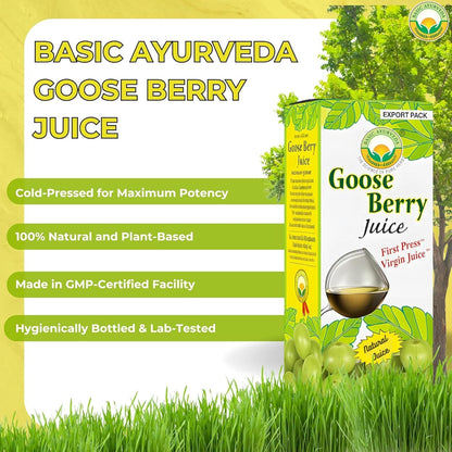 Basic Ayurveda Amla (Gooseberry) Juice | 480 ml | Rich in Natural Vitamin C for Immunity, Skin Glow & Hair Health | Herbal Detox & Daily Ayurvedic Wellness Drink | No Added Sugar