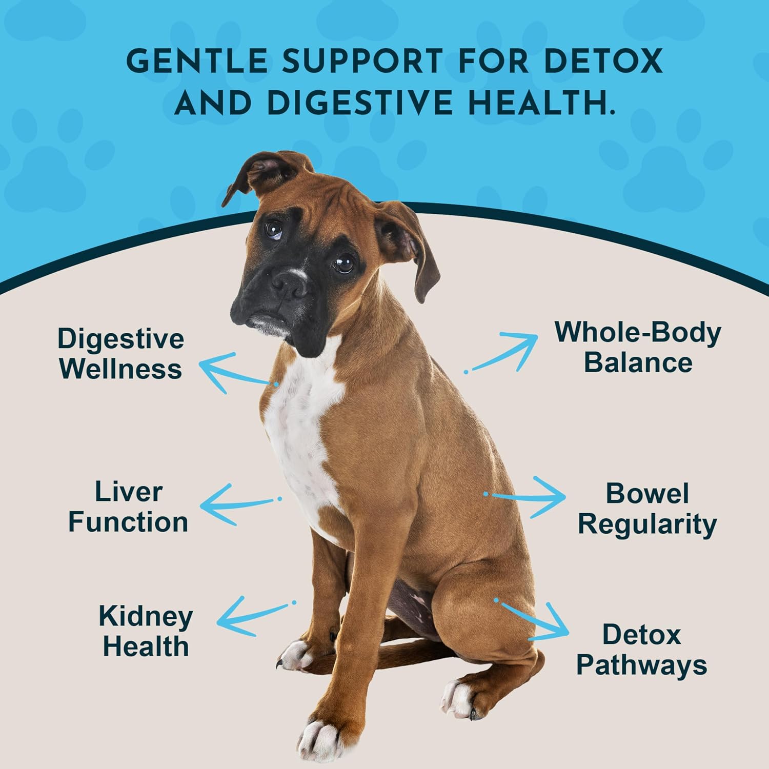 Animal Essentials Body Cleanse Liver Support for Dogs & Cats - 30 mL