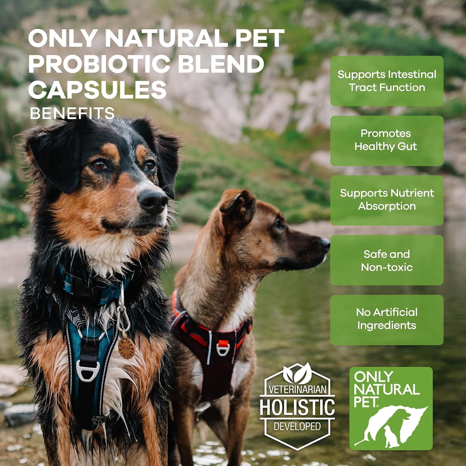 Only Natural Pet Probiotic for Dogs and Cats - Digestive and Intestinal Tract Health - 90 Capsules