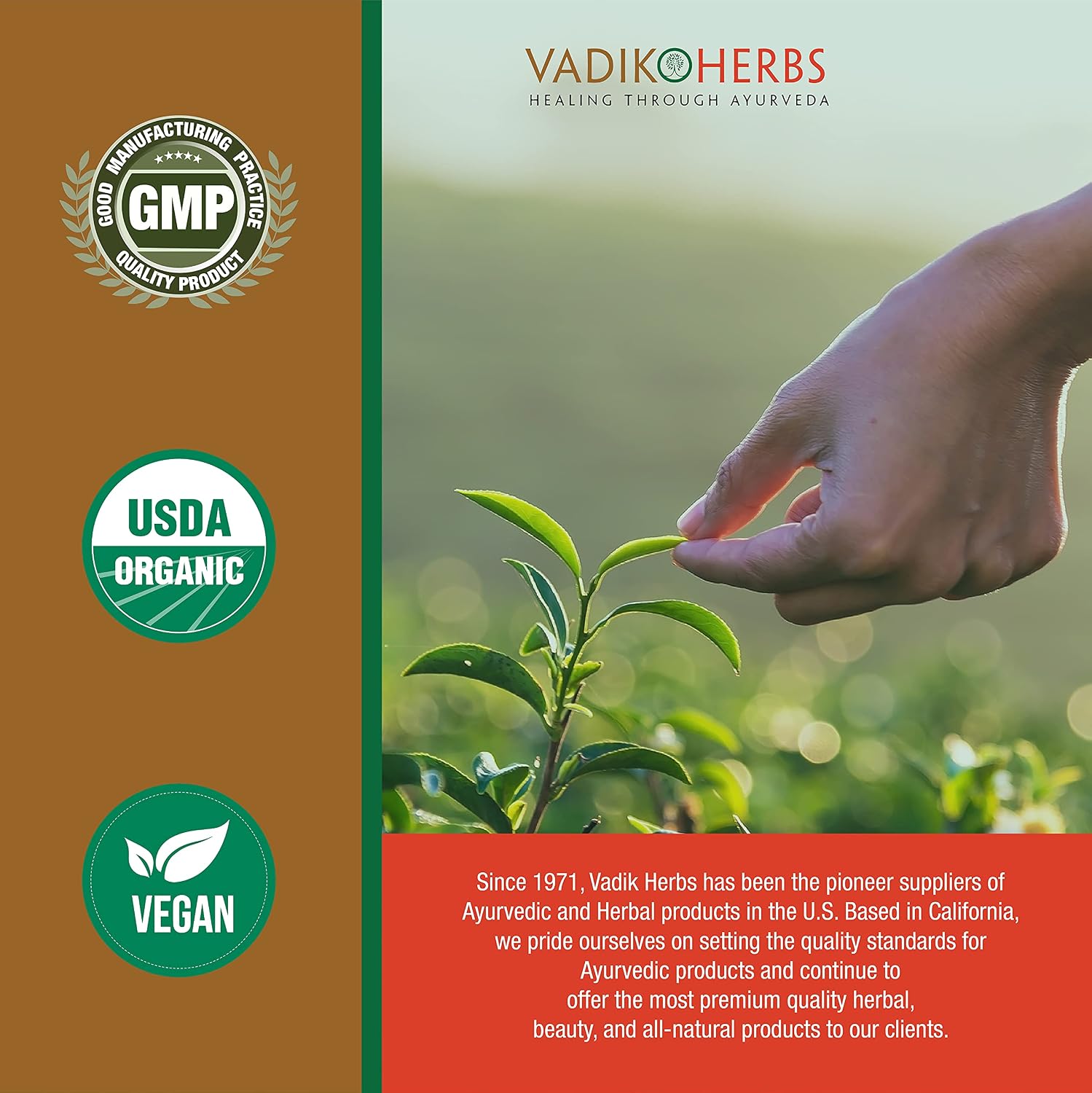 Vadik Herbs Pure Wild Harvested Manjistha (Rubia cordifolia, Indian Madder) - 100 Vegetable Capsules - Made in USA - Safety Tested - No GMO, Vegan