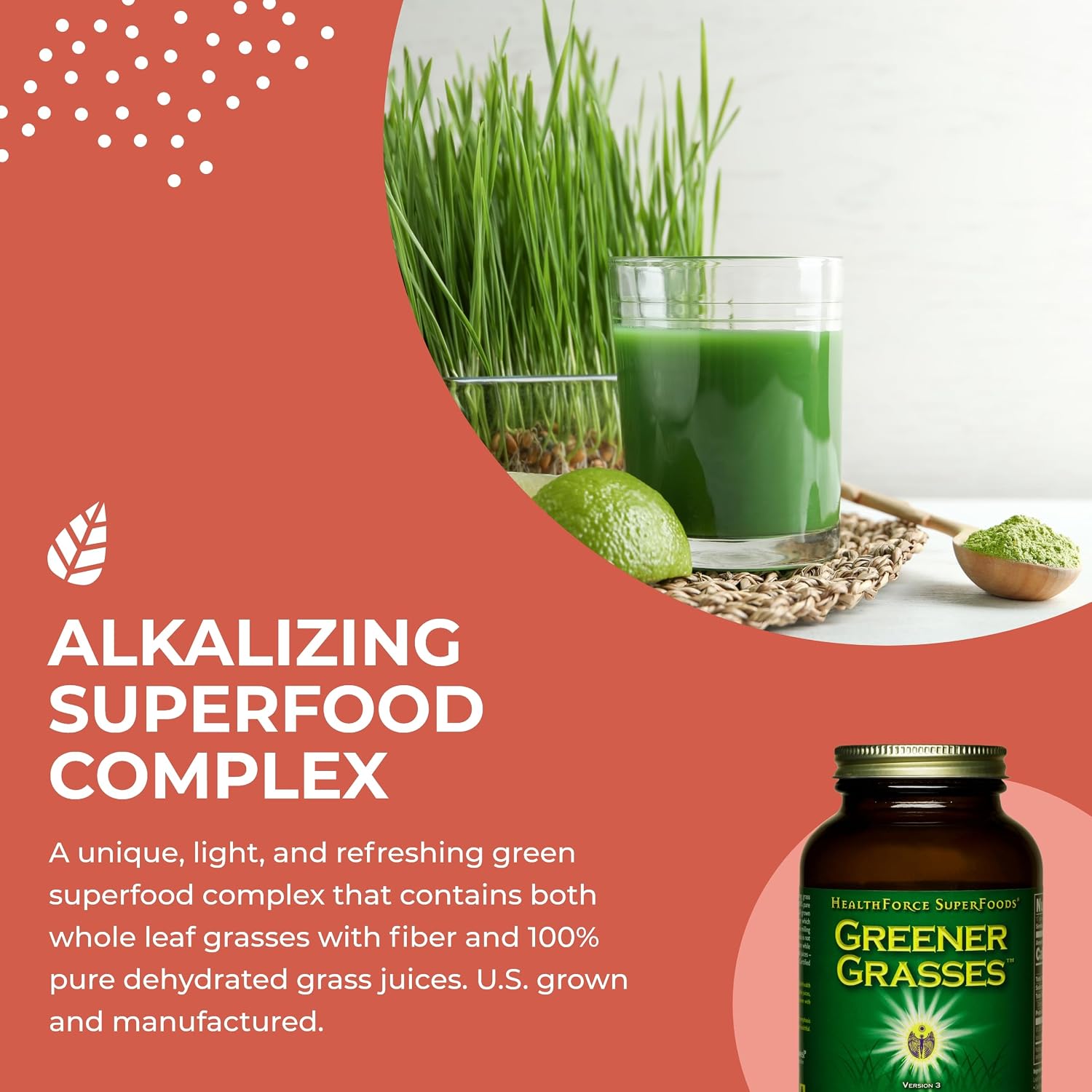 HealthForce SuperFoods Greener Grasses Alkalizer Powder – Organic Vegan Greens Superfood, 10 oz (283 g)