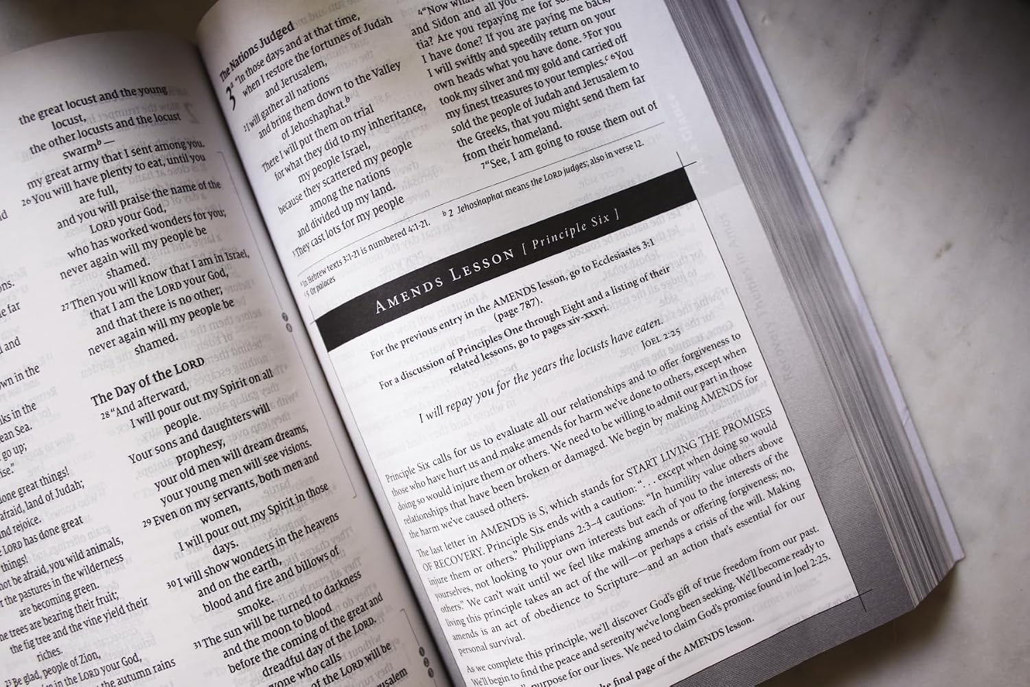 NIV, Celebrate Recovery Study Bible (35th Anniversary Edition), Paperback, Comfort Print – Canadian Edition