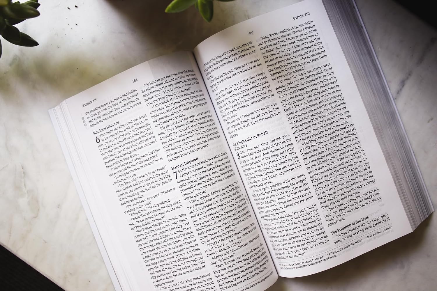 NIV, Celebrate Recovery Study Bible (35th Anniversary Edition), Paperback, Comfort Print – Canadian Edition