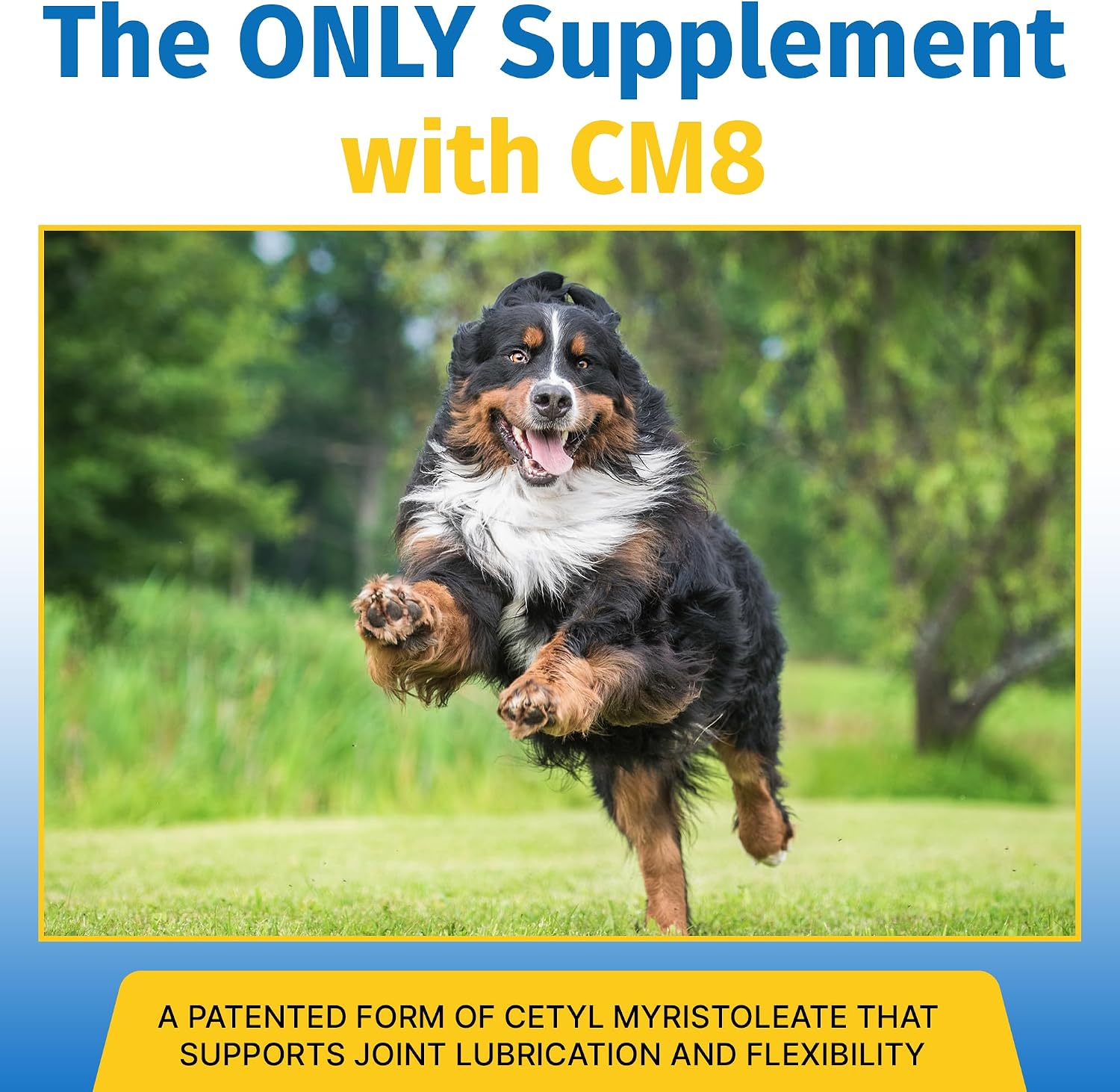 FlexPet Hip & Joint Supplement for Dogs & Cats with Cetyl Myristoleate, Glucosamine, Collagen, MSM – 180 Chewable Tablets (Pork Liver Flavour)
