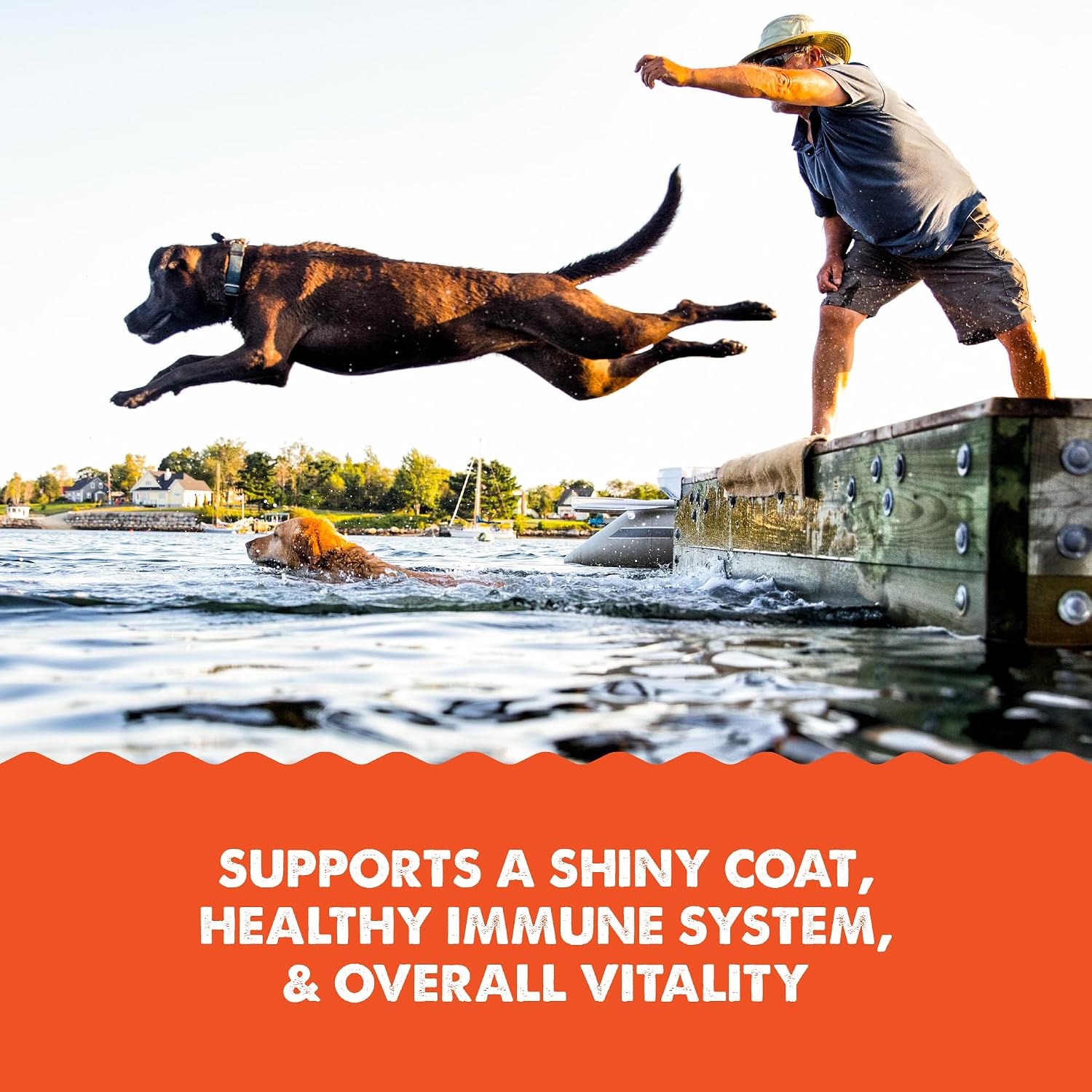 Grizzly Salmon Plus Omega 3-6-9 Liquid Food Supplement for Dogs and Cats, 118 mL Bottle
