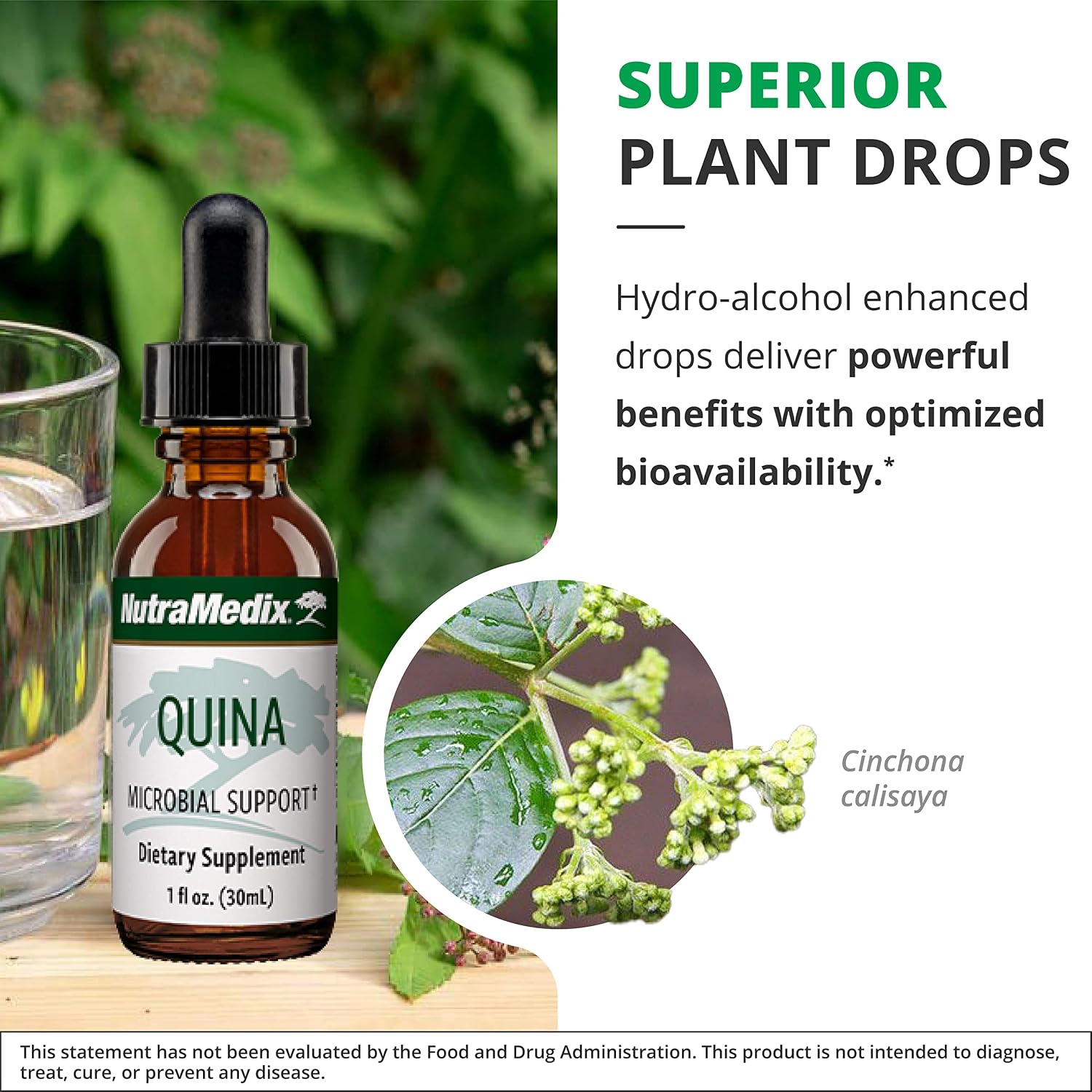 NutraMedix Quina Herbal Extract - Daily Immune Support Liquid Drops - 30 ml (1 fl oz)