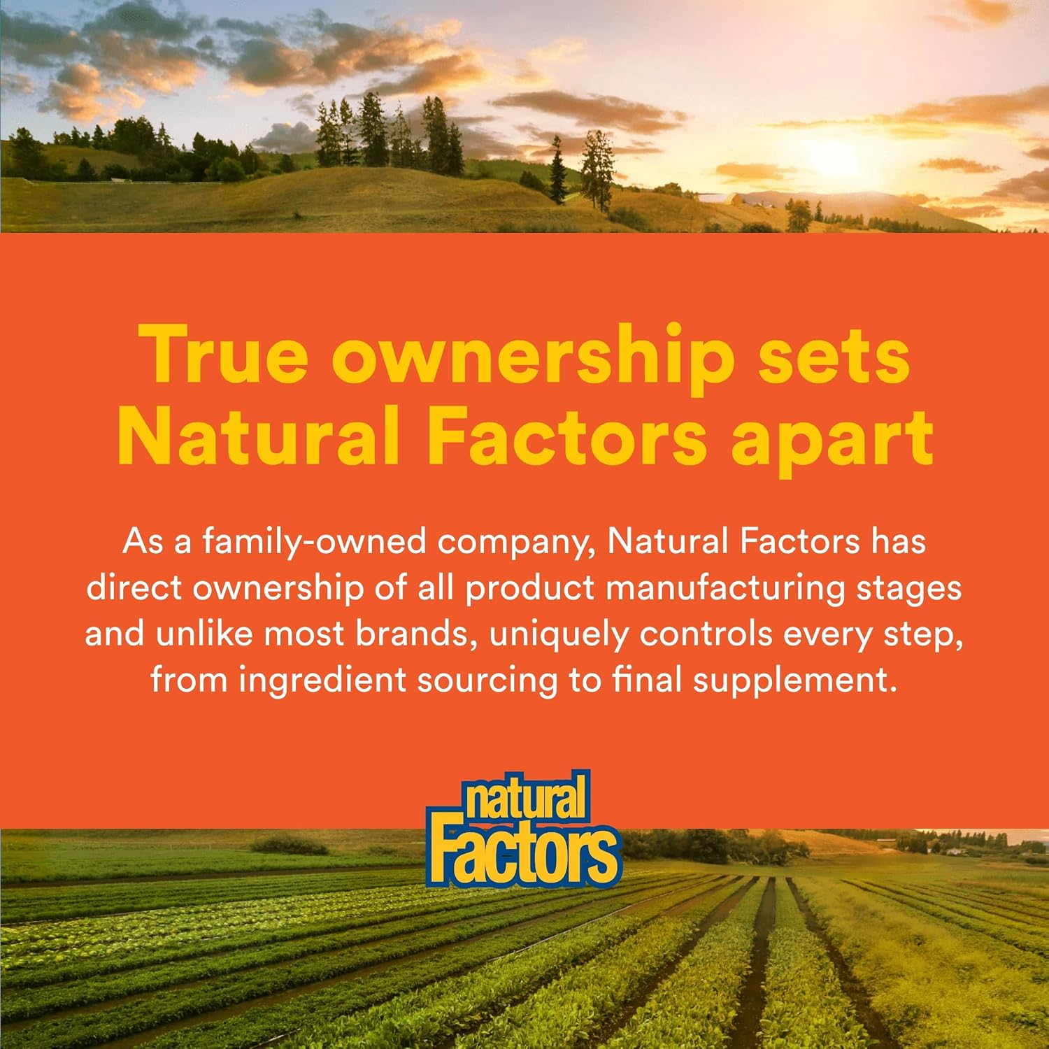 Natural Factors, MSM, Helps Maintain Healthy Joints, Hair, Skin and Nails, 90 Capsules