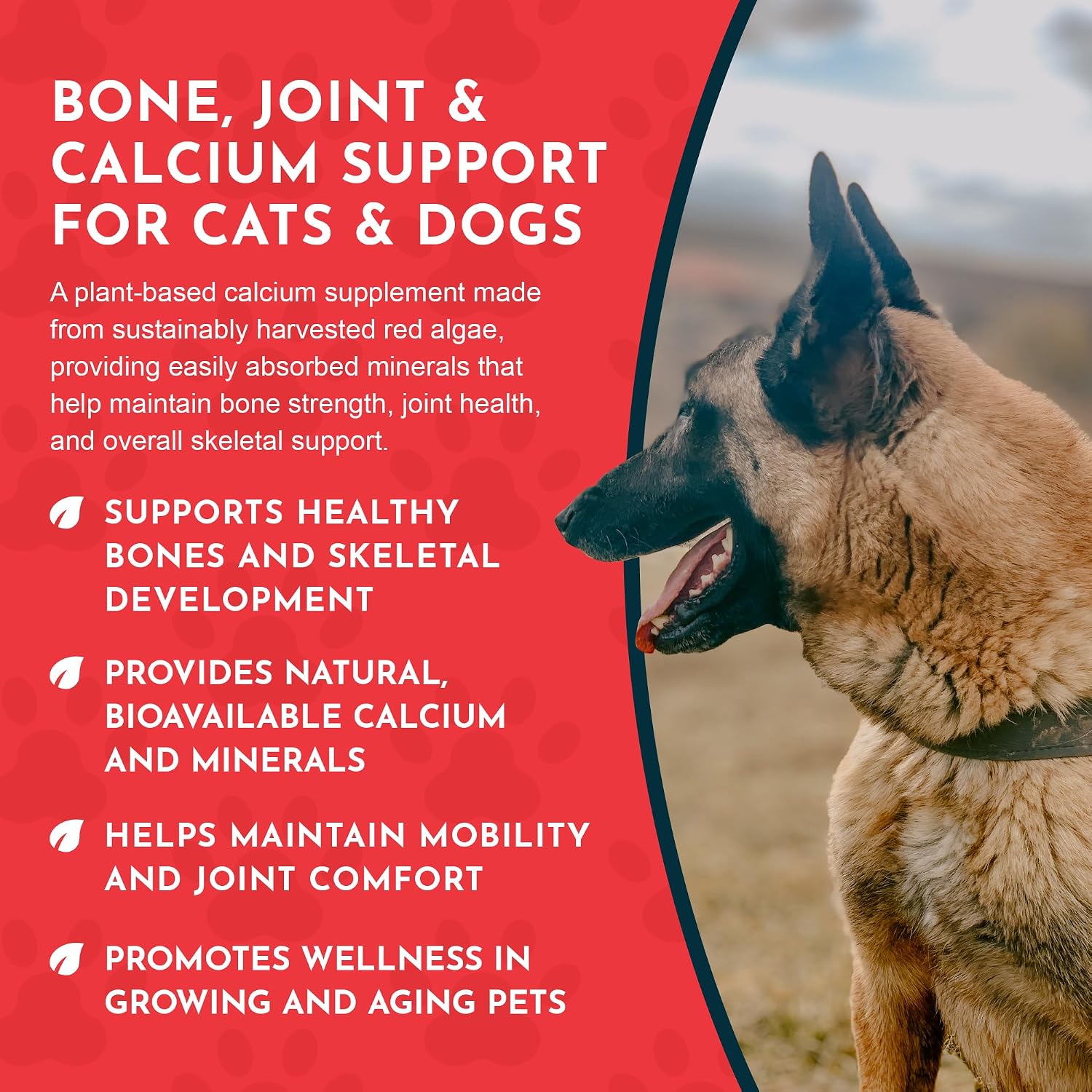 Sea-Cal Pure Seaweed Calcium Powder for Dogs & Cats with Magnesium - 340 g