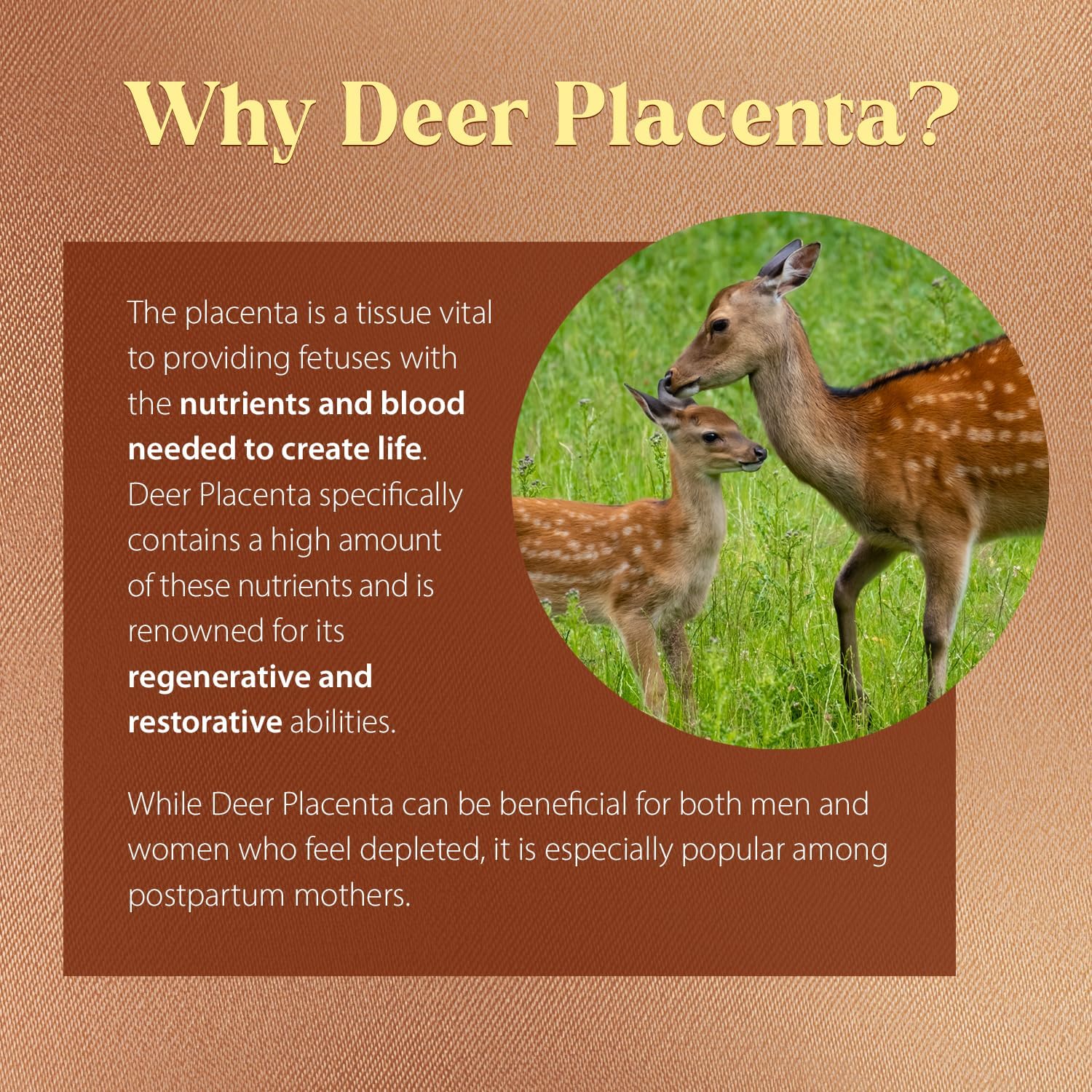 Dragon Herbs Deer Placenta Capsules - 500 mg, 60 Capsules