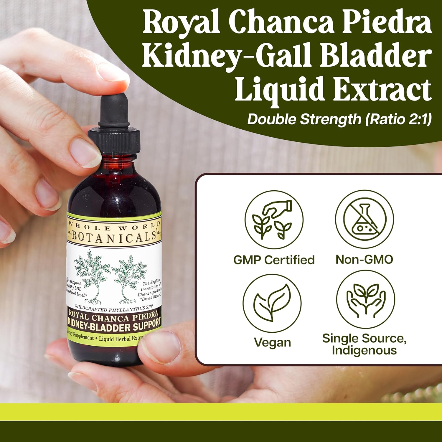 Whole World Botanicals Royal Chanca Piedra – Kidney & Bladder Support – Liquid Extract 4 oz (118 mL)