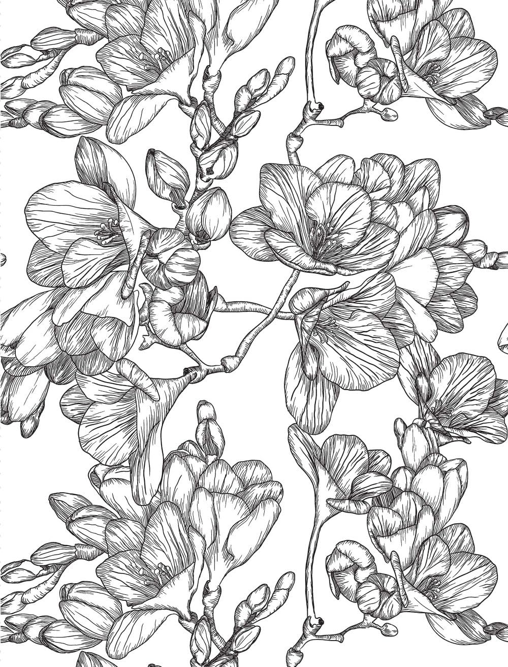 Healing Vibes: Colouring for Calm (Dover Adult Colouring Books)