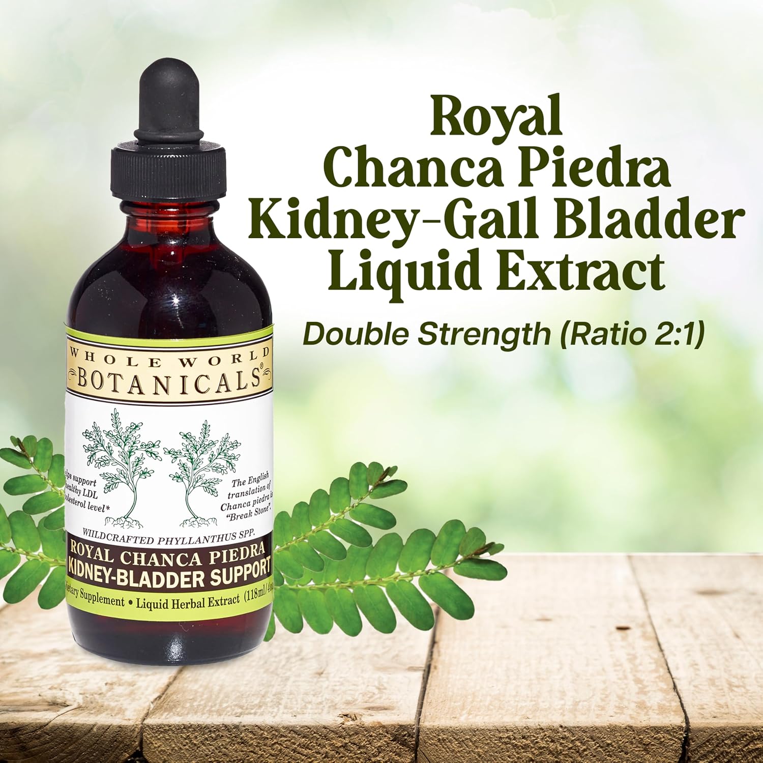 Whole World Botanicals Royal Chanca Piedra – Kidney & Bladder Support – Liquid Extract 4 oz (118 mL)