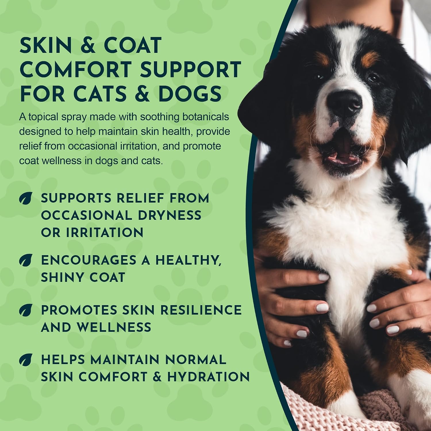 Animal Essentials Fido-Derm Herbal Skin Spray for Dogs, Cats & Horses – Natural Itch Relief & Hot Spot Care, 118 mL