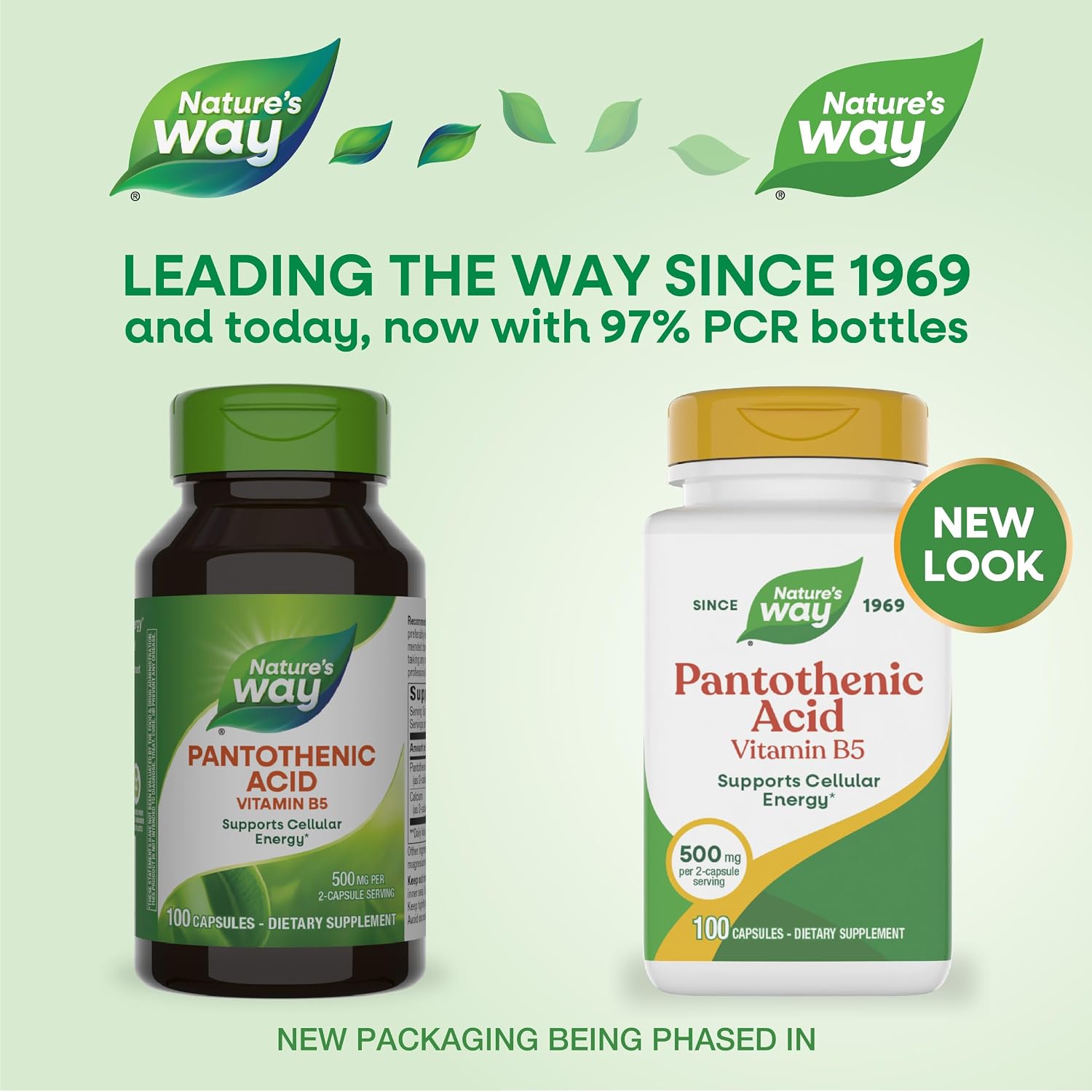 Nature's Way Pantothenic Acid 500mg - Supports Cellular Energy, 100 Capsules