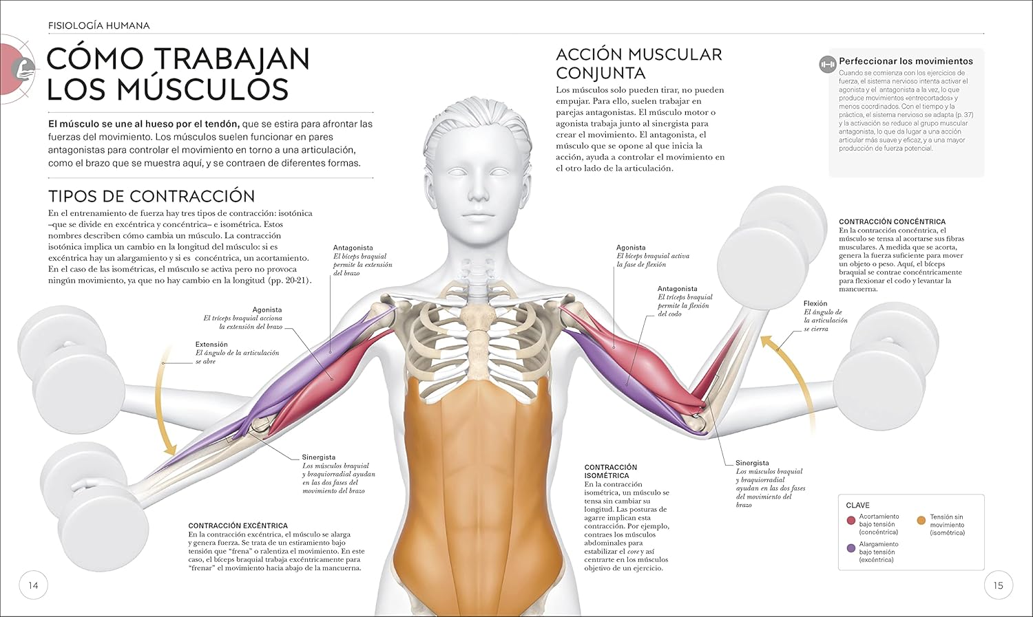 Entrenamiento de fuerza (Science of Strength Training): Mejora tu técnica, evita lesiones, perfecciona tu entrenamiento (Spanish Edition)
