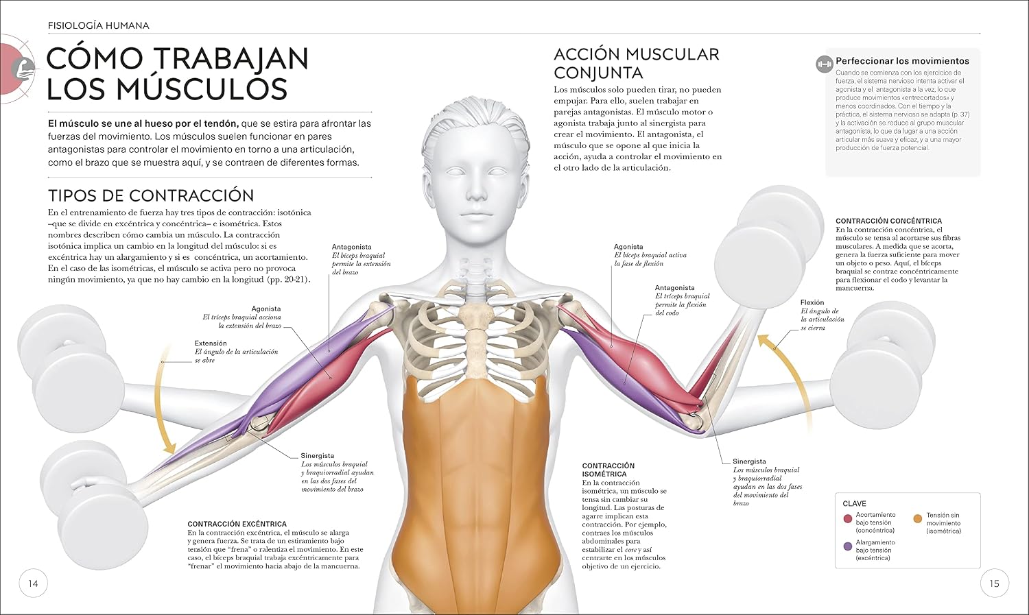 Science of Strength Training: Improve Your Technique, Prevent Injury, Perfect Your Training