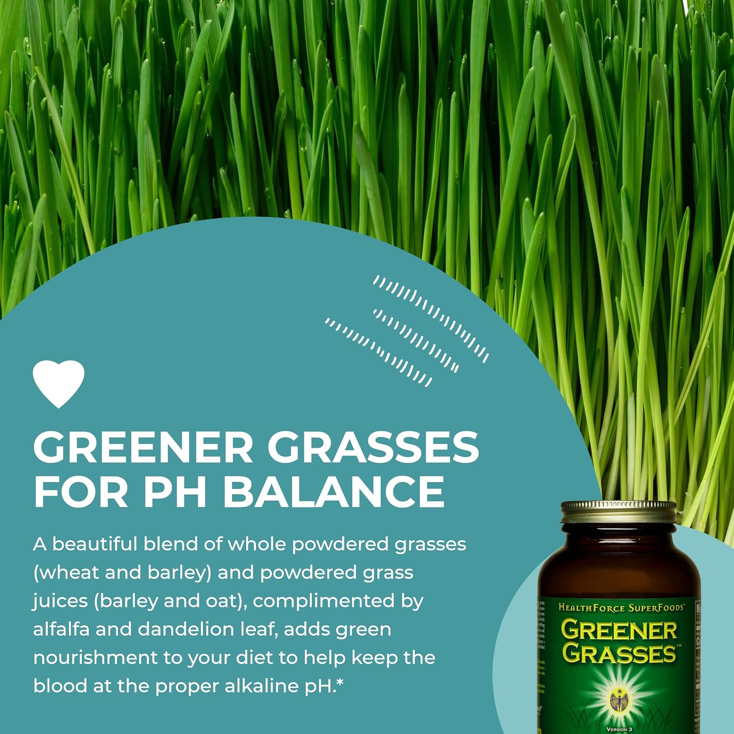HealthForce SuperFoods Greener Grasses Alkalizer Powder – Organic Vegan Greens Superfood, 10 oz (283 g)