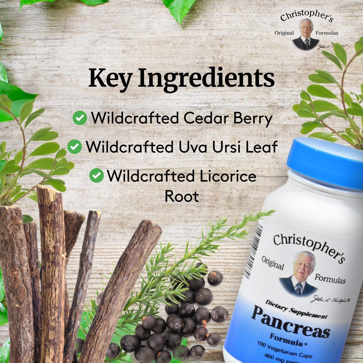 Dr. Christopher's Formulas Pancreas Formula, 100 Vegetarian Capsules
