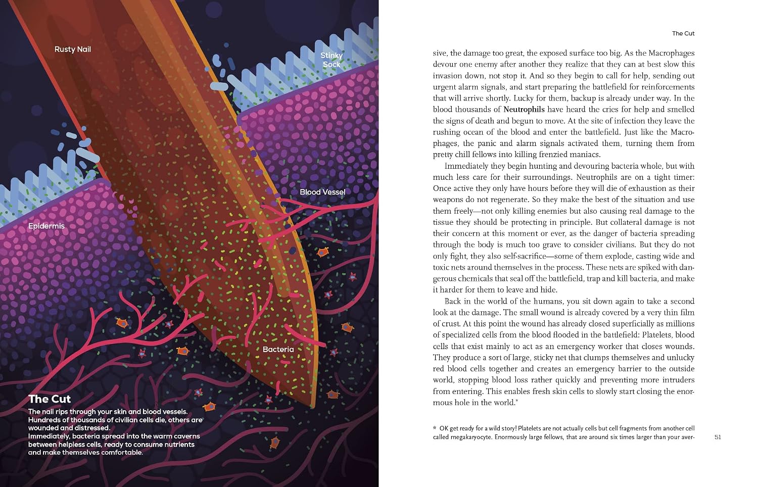 Immune: A Journey into the Hidden System That Keeps You Alive