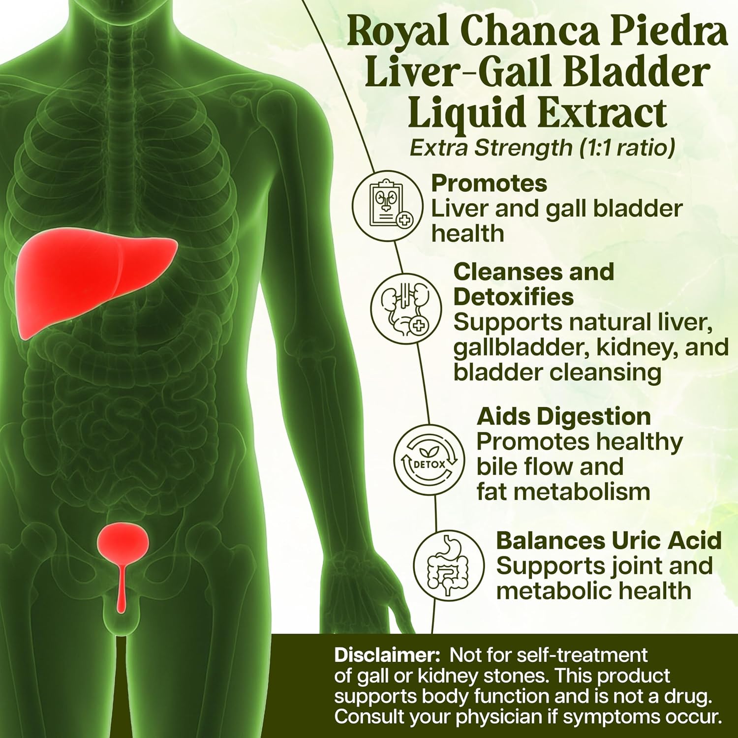 Whole World Botanicals Royal Chanca Piedra Liquid Extract – Liver & Gallbladder Support – 118 mL