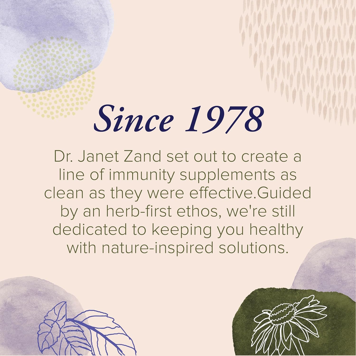 Zand Insure Herbal Immune Support - Vitamin C, Zinc, Echinacea, Elderberry & Ginger - 120 Vegetarian Capsules